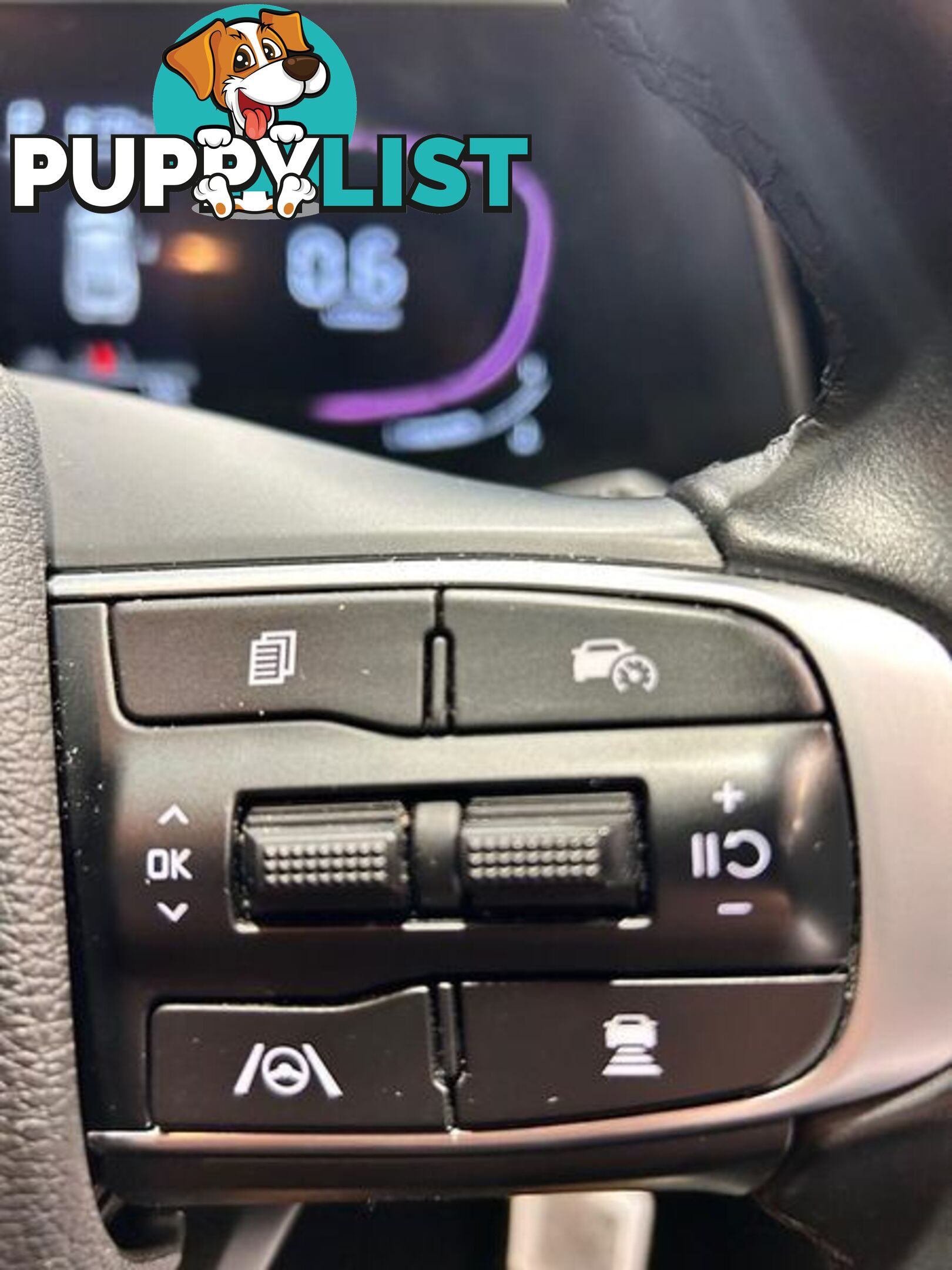 2022 Kia Sportage SX NQ5 SUV