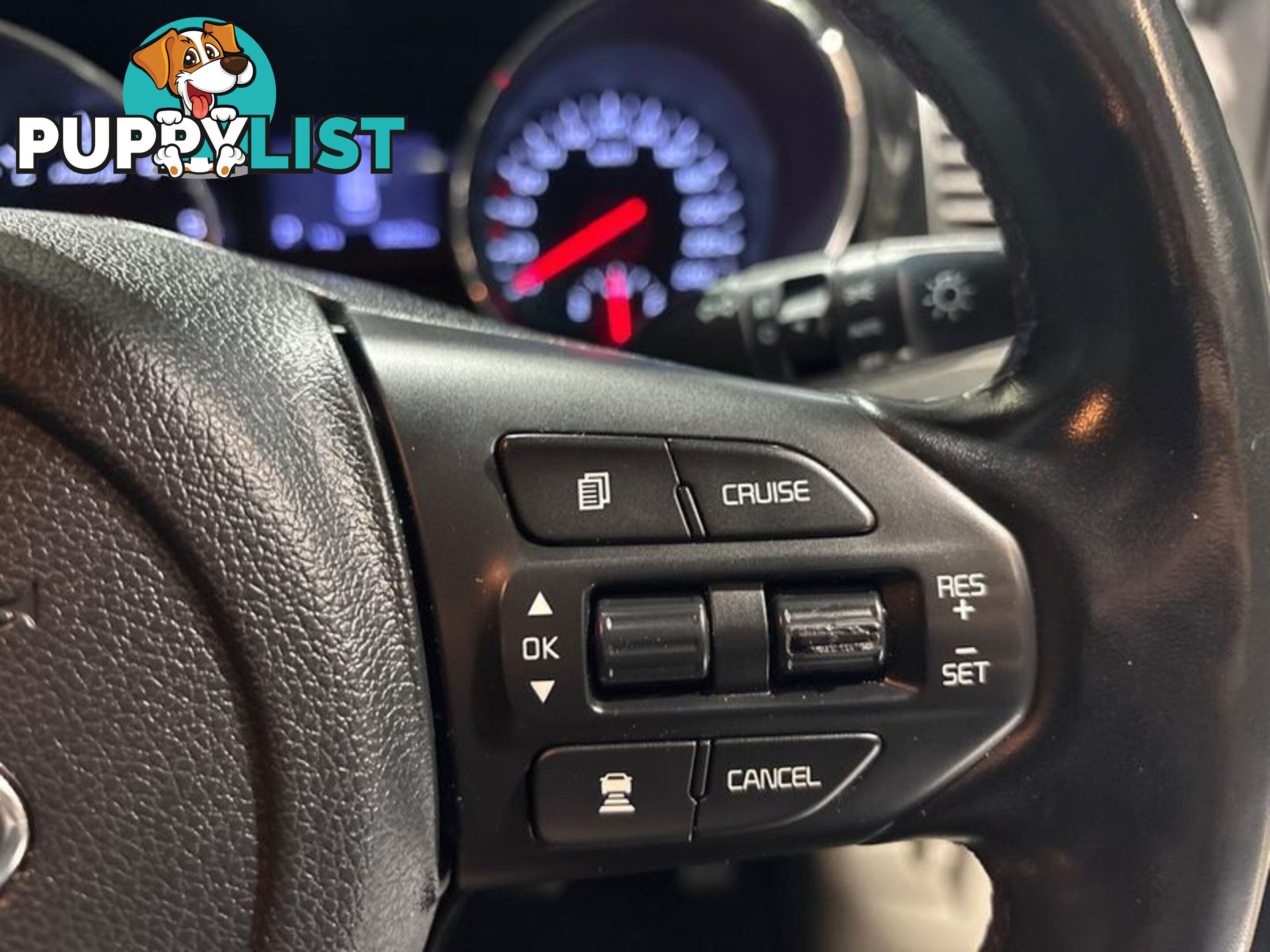 2019 Kia Carnival SLi YP People Mover