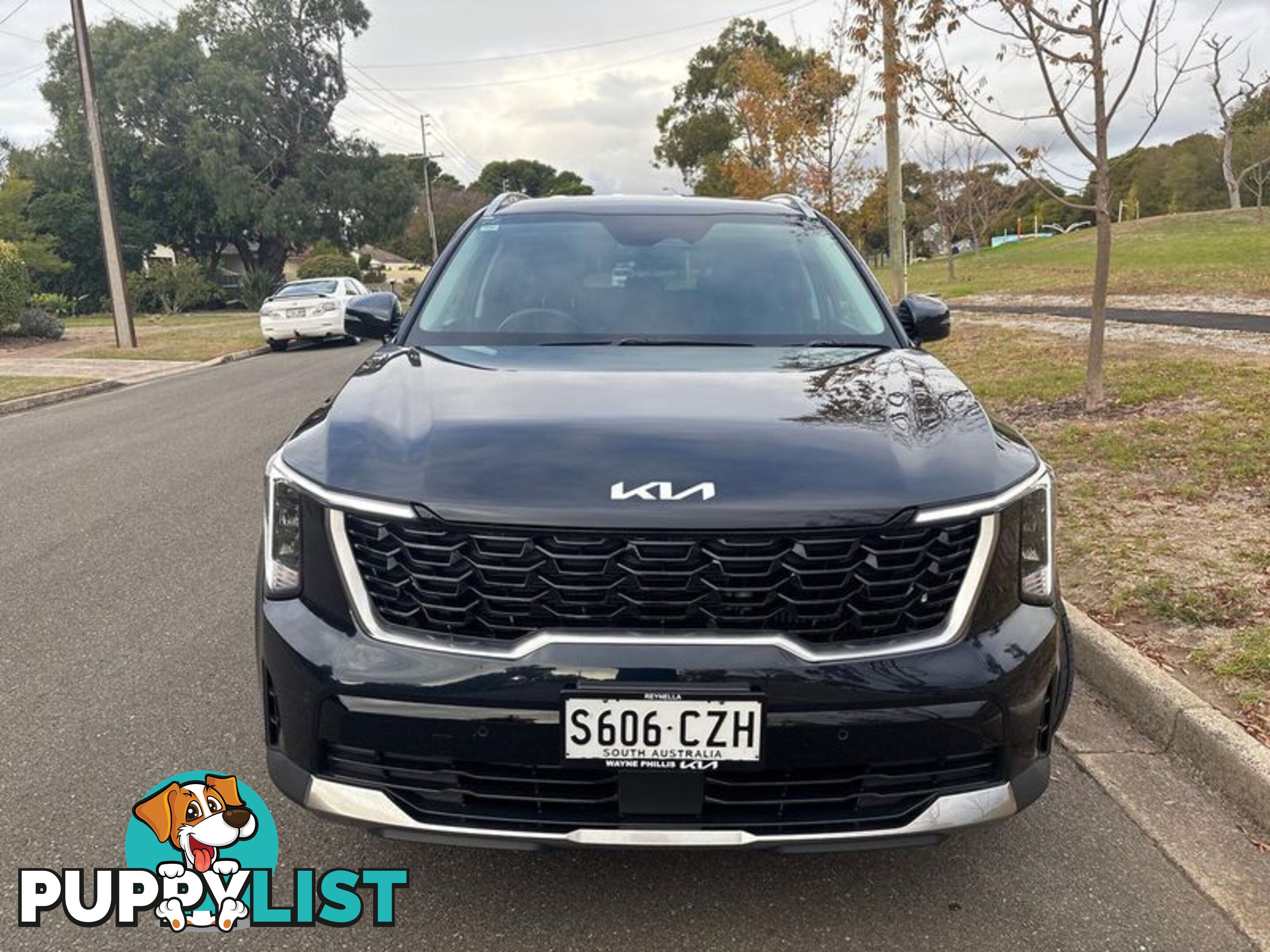 2023 Kia Sorento Sport+ MQ4 PE SUV