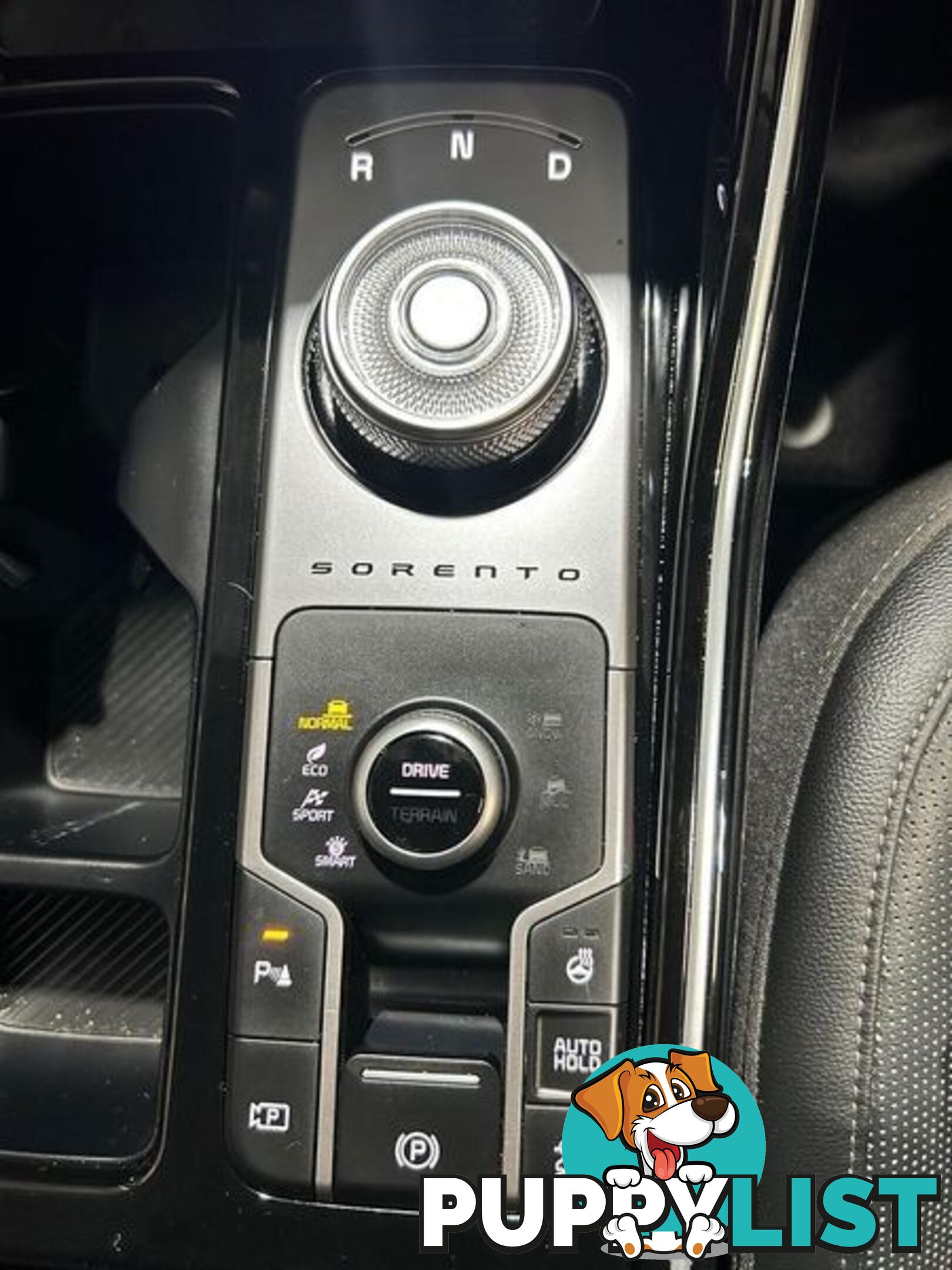 2023 Kia Sorento Sport+ MQ4 PE SUV