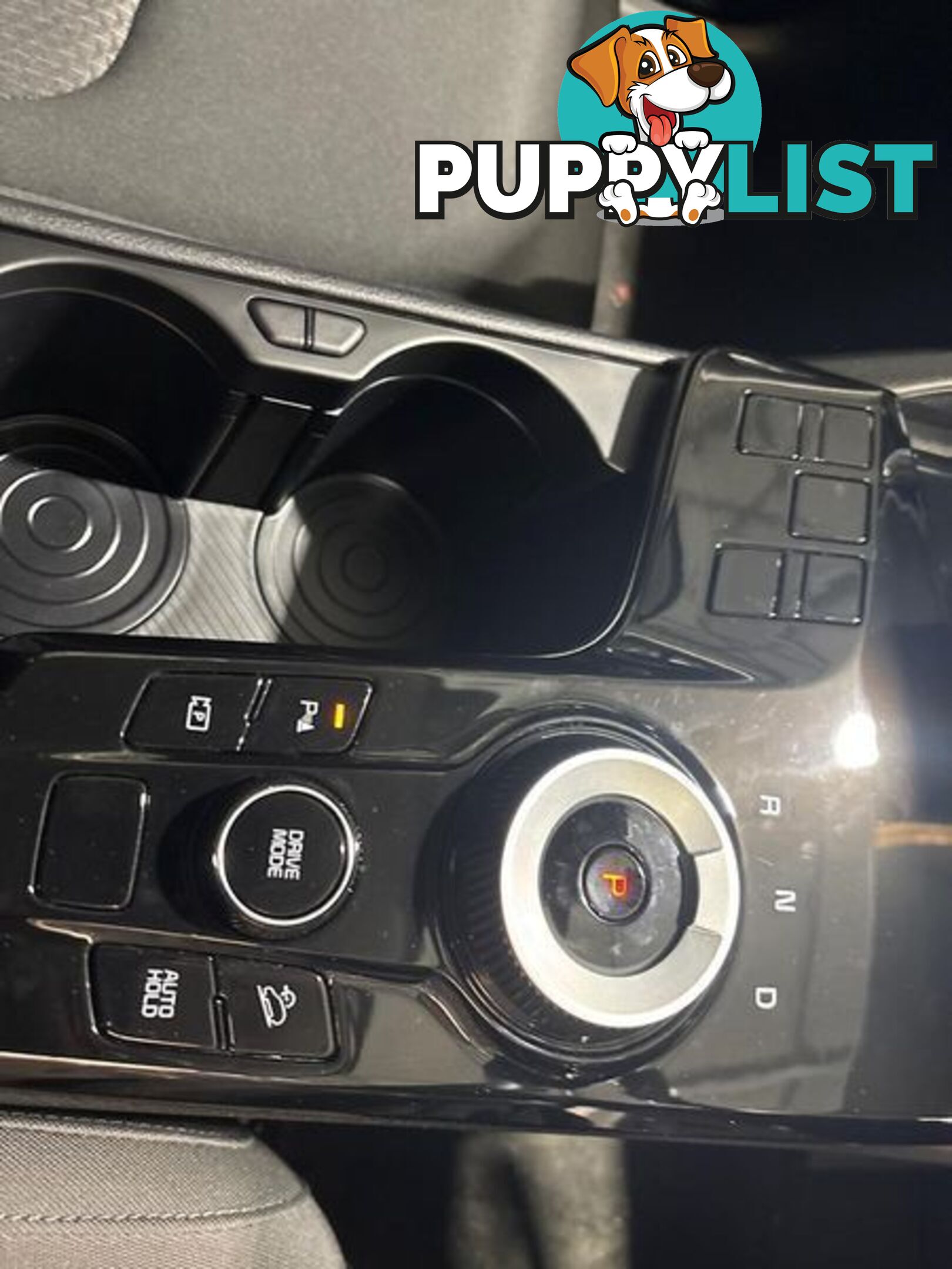 2023 Kia Sportage HEV SX NQ5 SUV