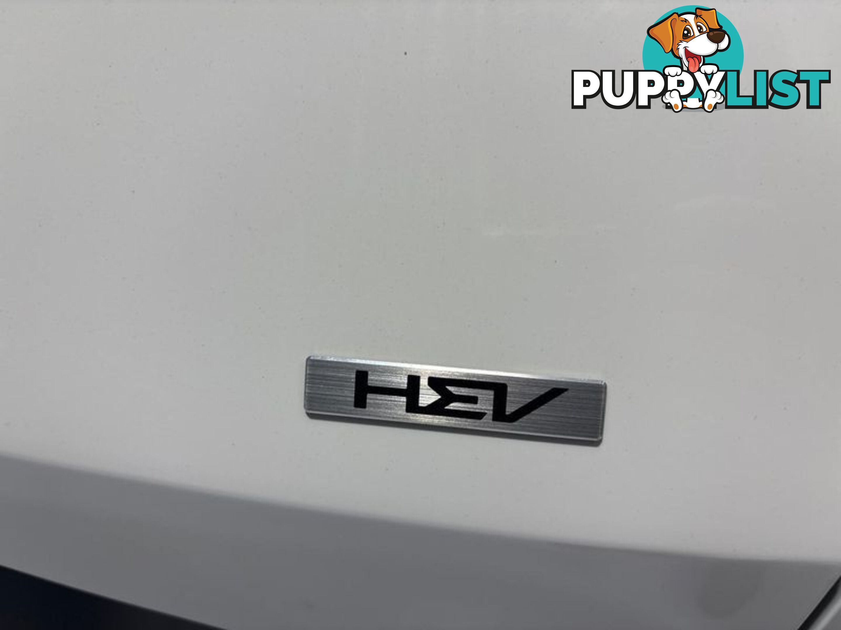 2023 Kia Sportage HEV SX NQ5 SUV