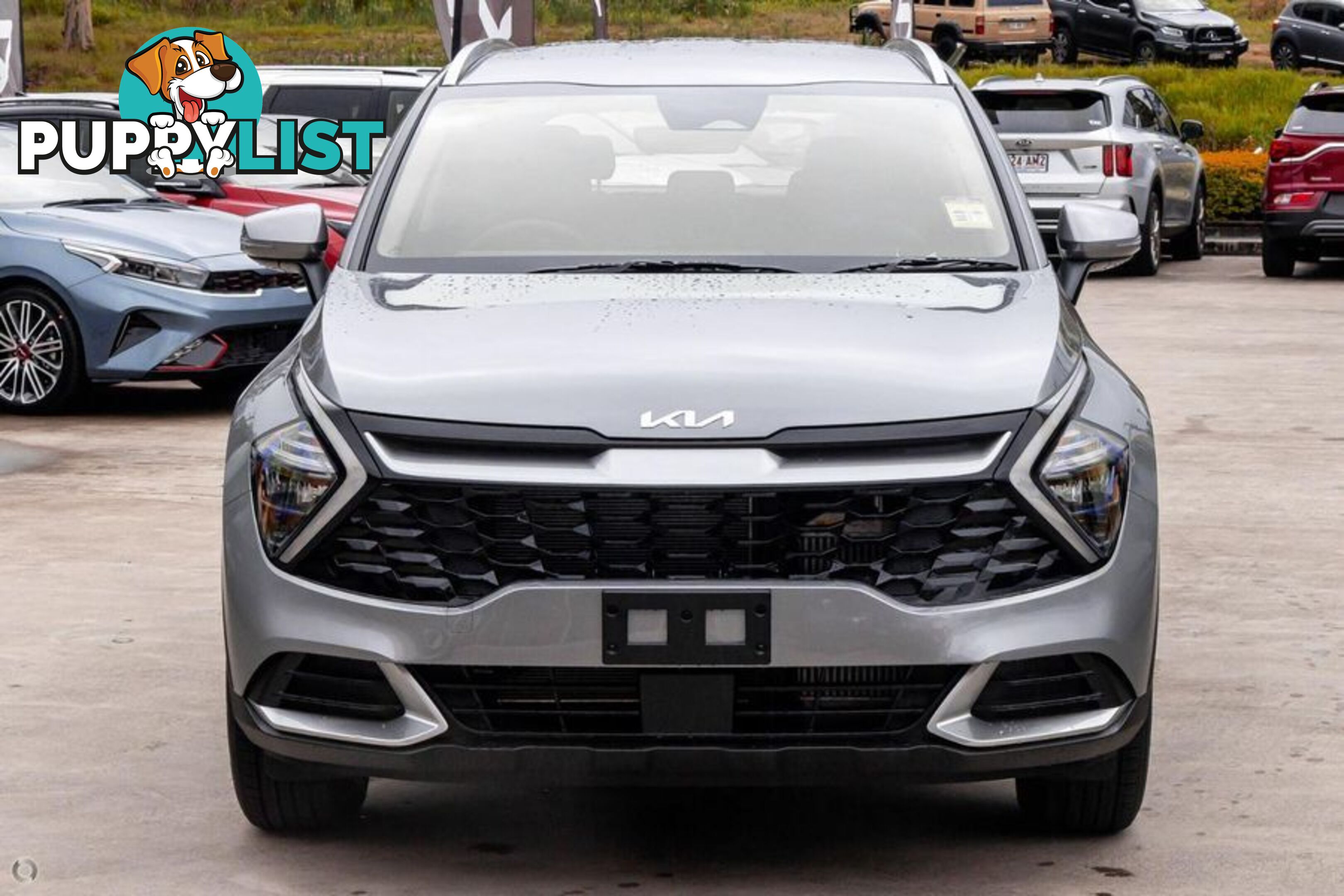 2024 Kia Sportage S NQ5 SUV