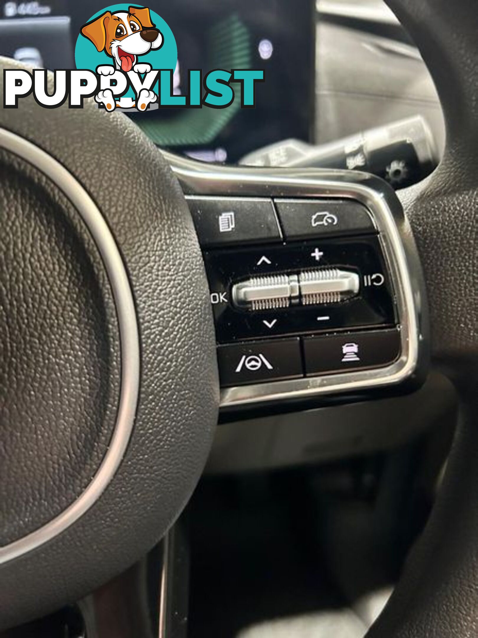 2024 Kia Carnival S KA4 PE People Mover