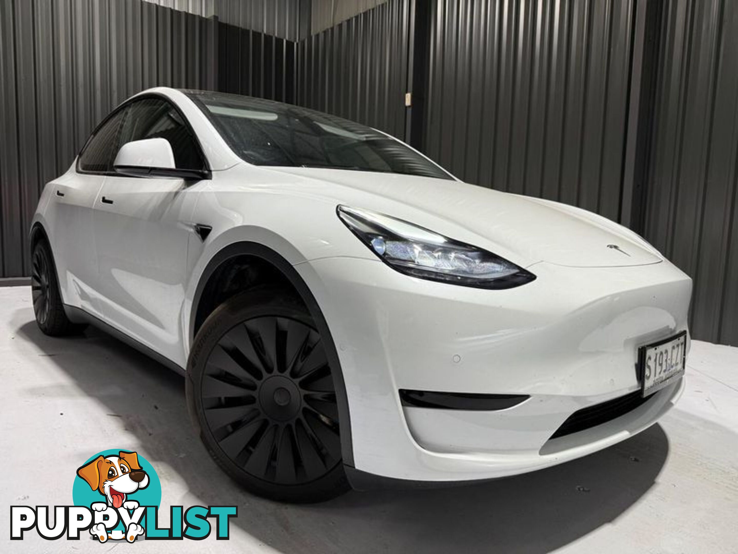 2023 Tesla Model Y Rear-Wheel Drive (No Series) SUV