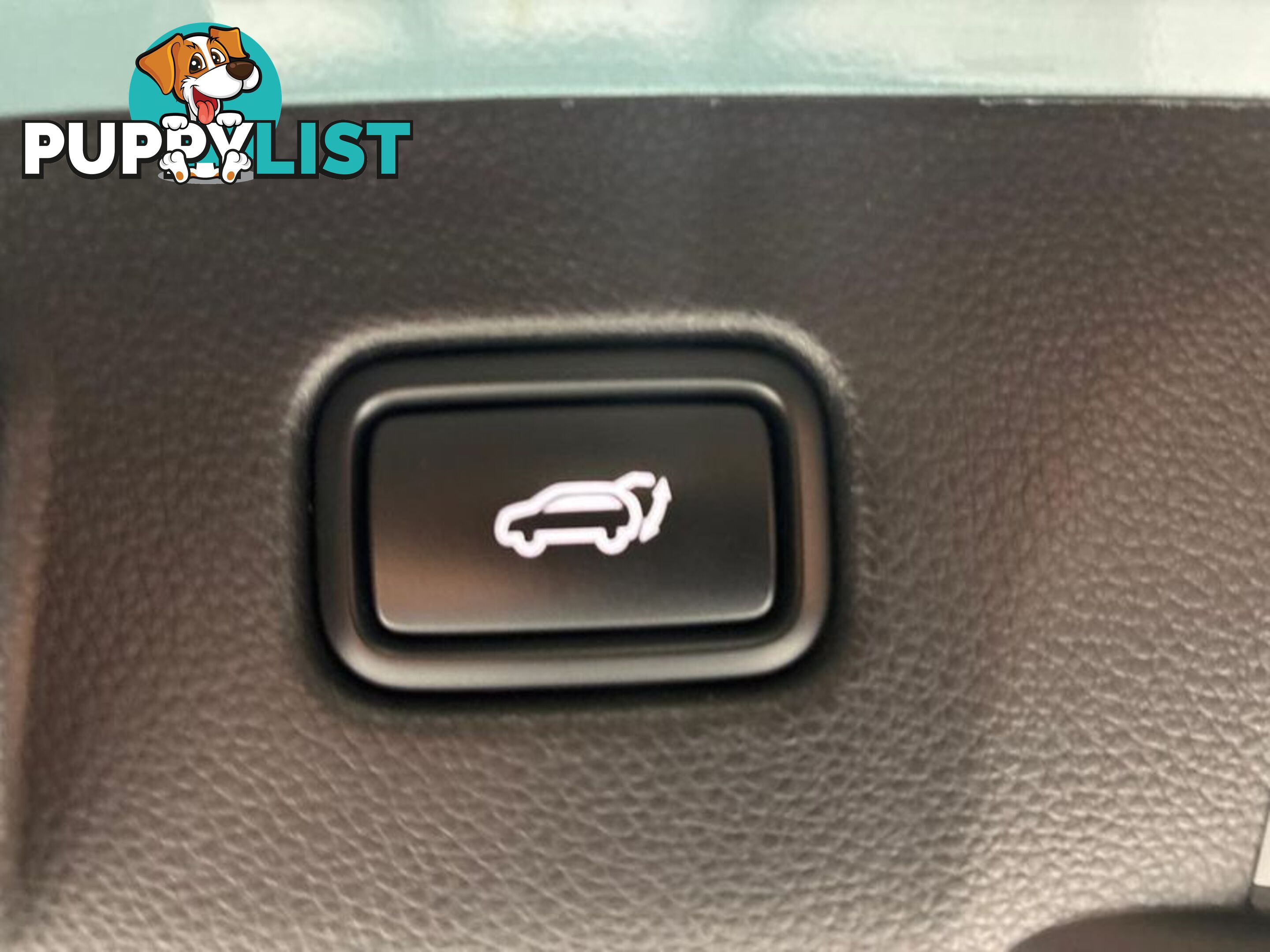 2023 Kia Seltos GT-Line SP2 PE SUV