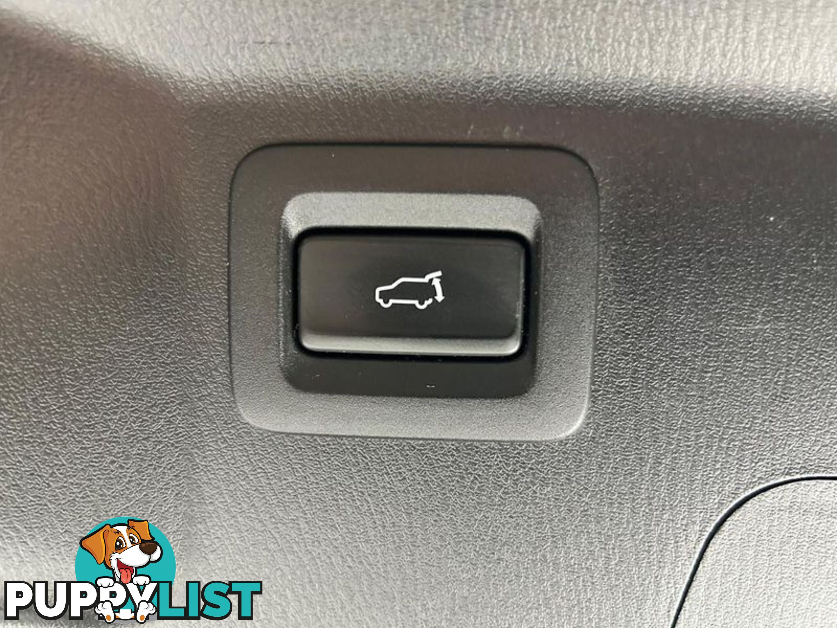 2019 Mazda CX-9 Azami LE TC SUV