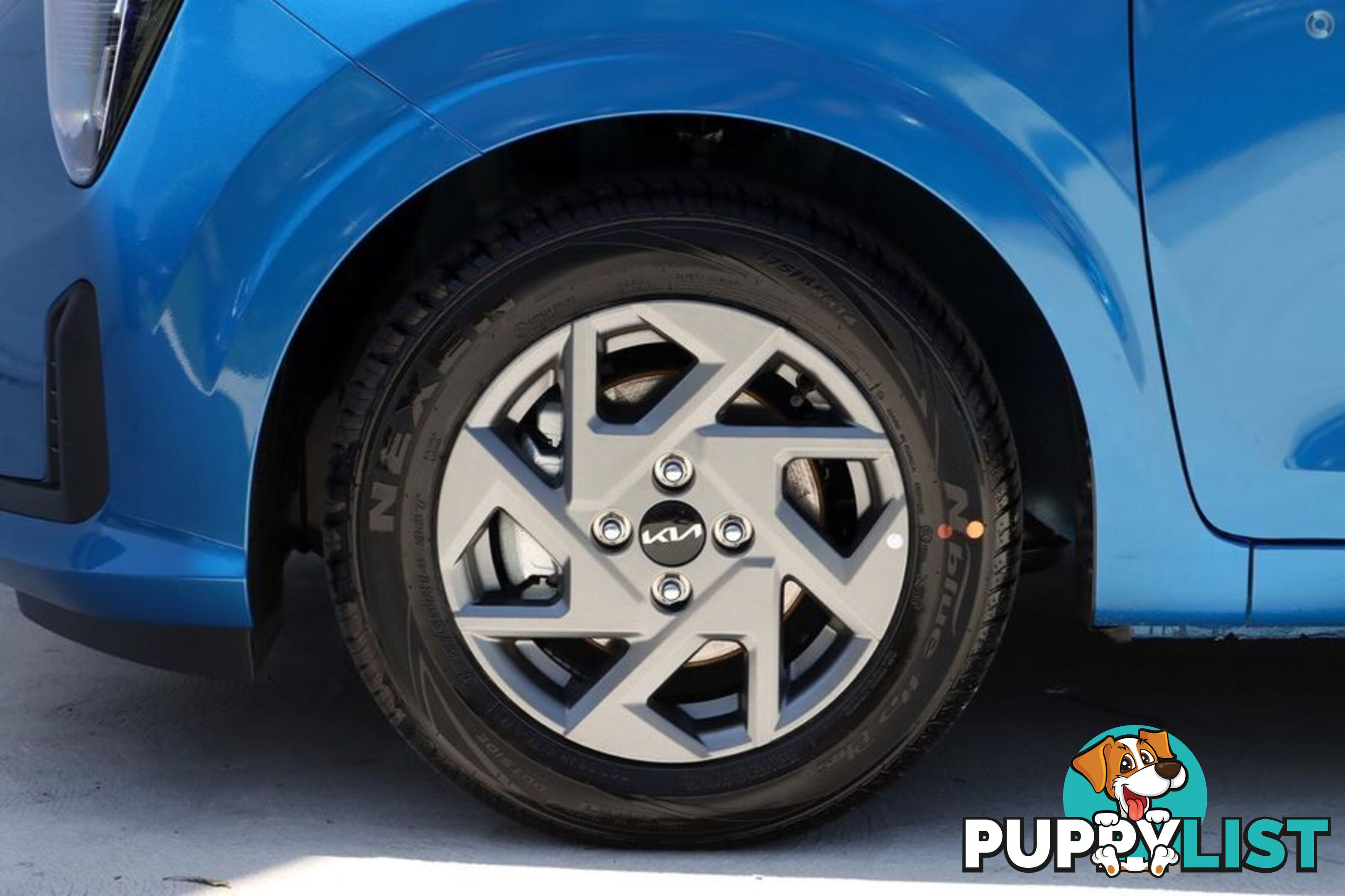2025 Kia Picanto Sport JA PE2 Hatch