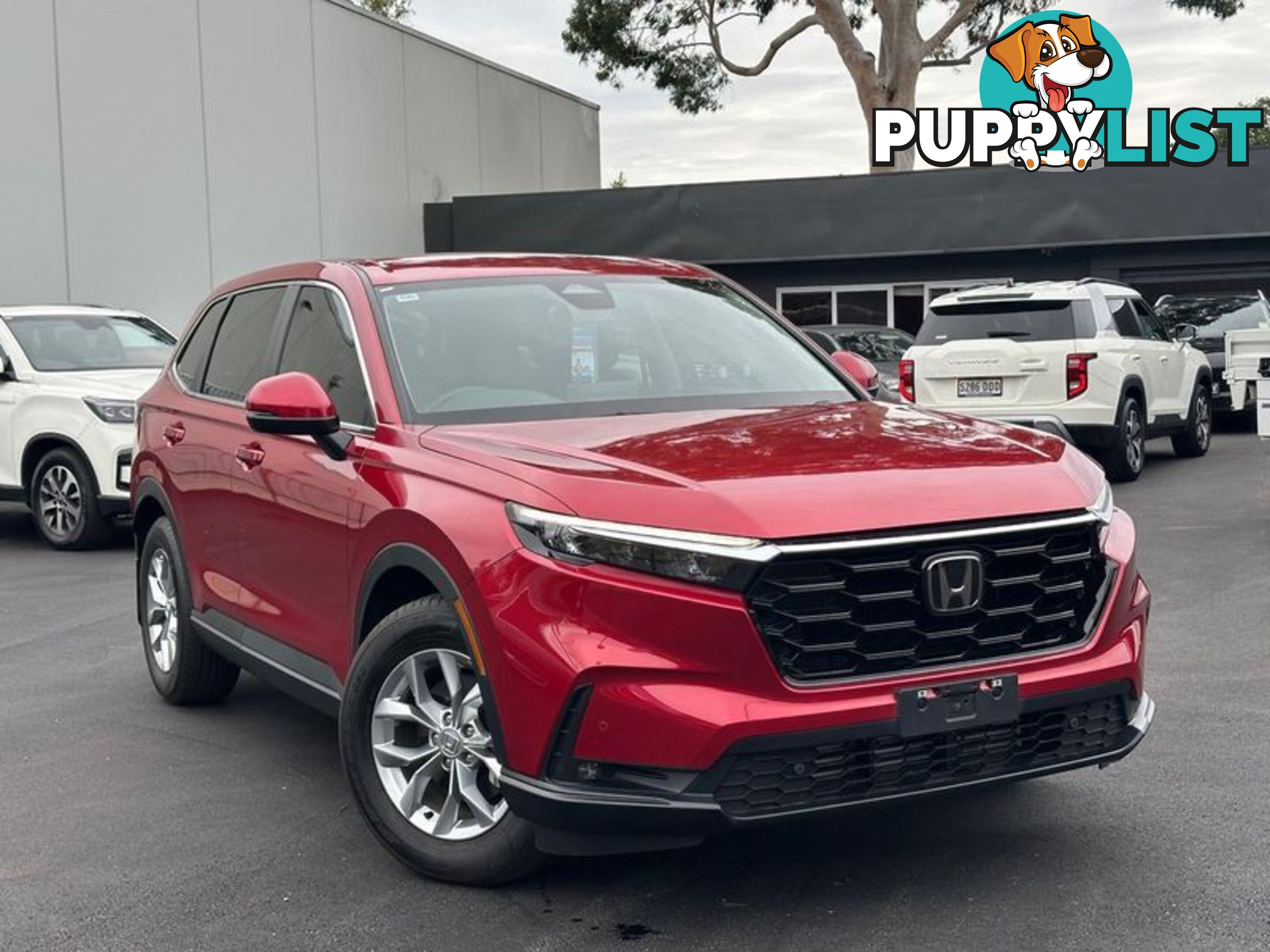 2023 Honda CR-V VTi X RS SUV