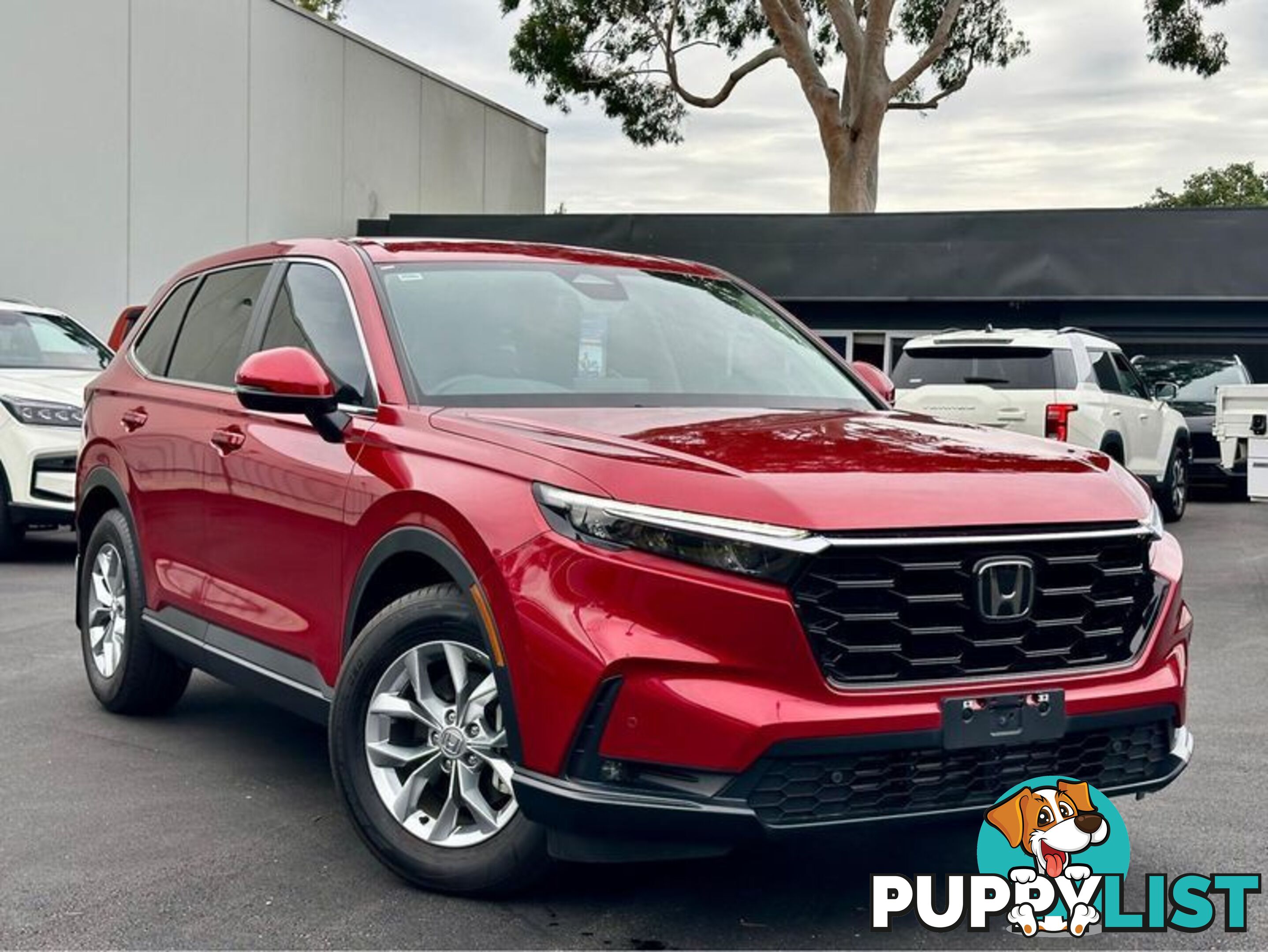 2023 Honda CR-V VTi X RS SUV