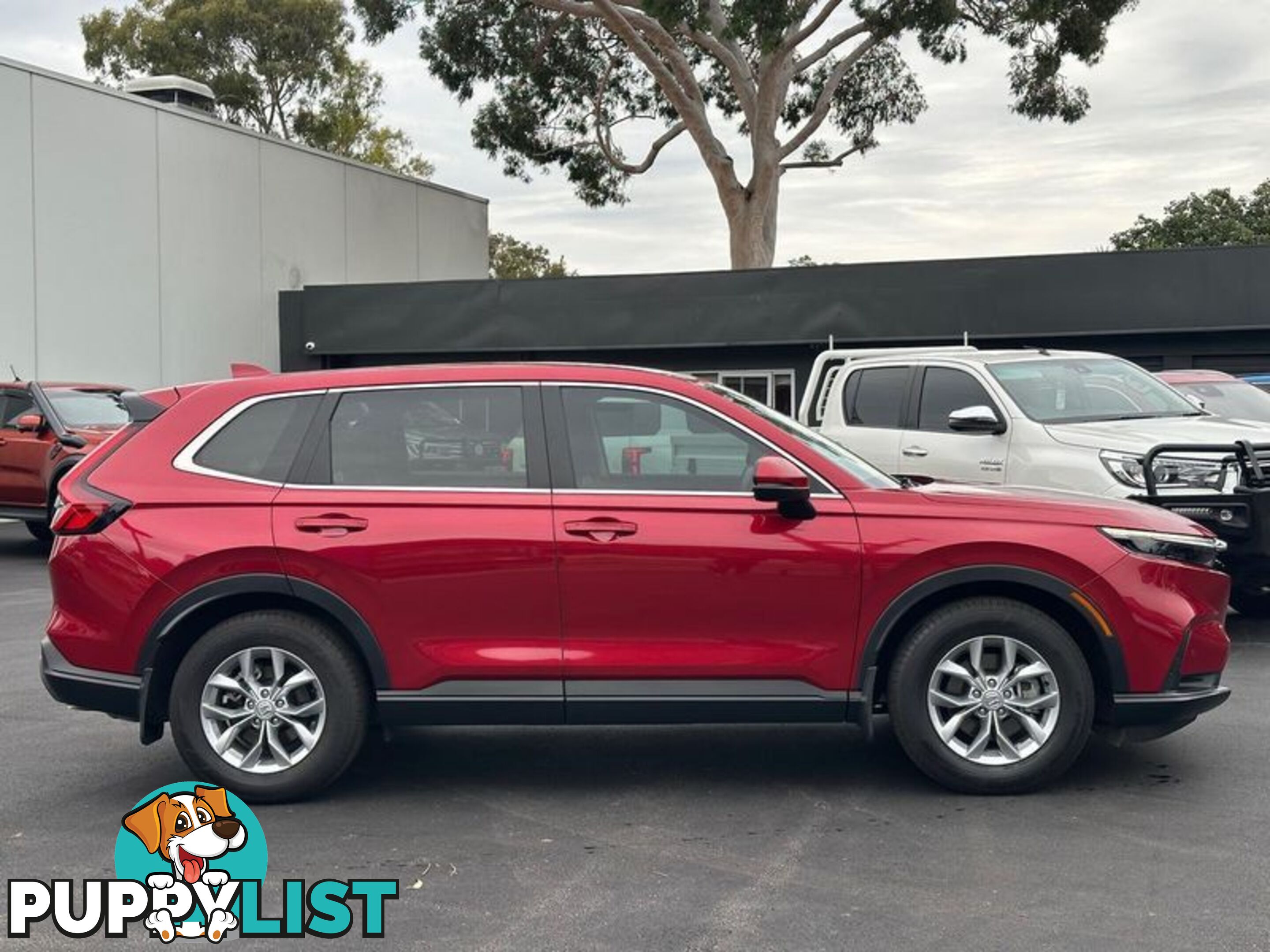 2023 Honda CR-V VTi X RS SUV
