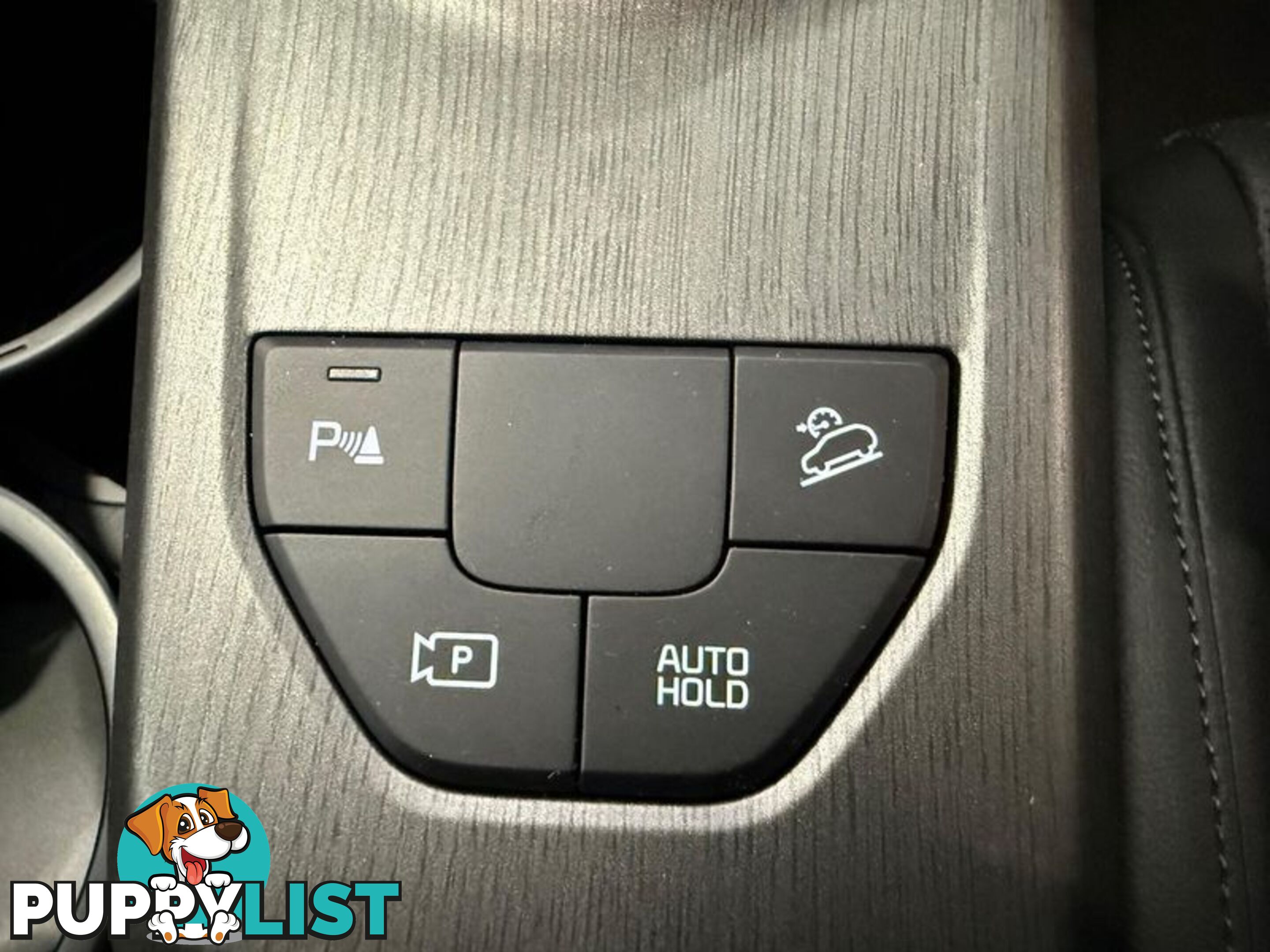 2025 Kia Sportage GT-Line NQ5 PE SUV