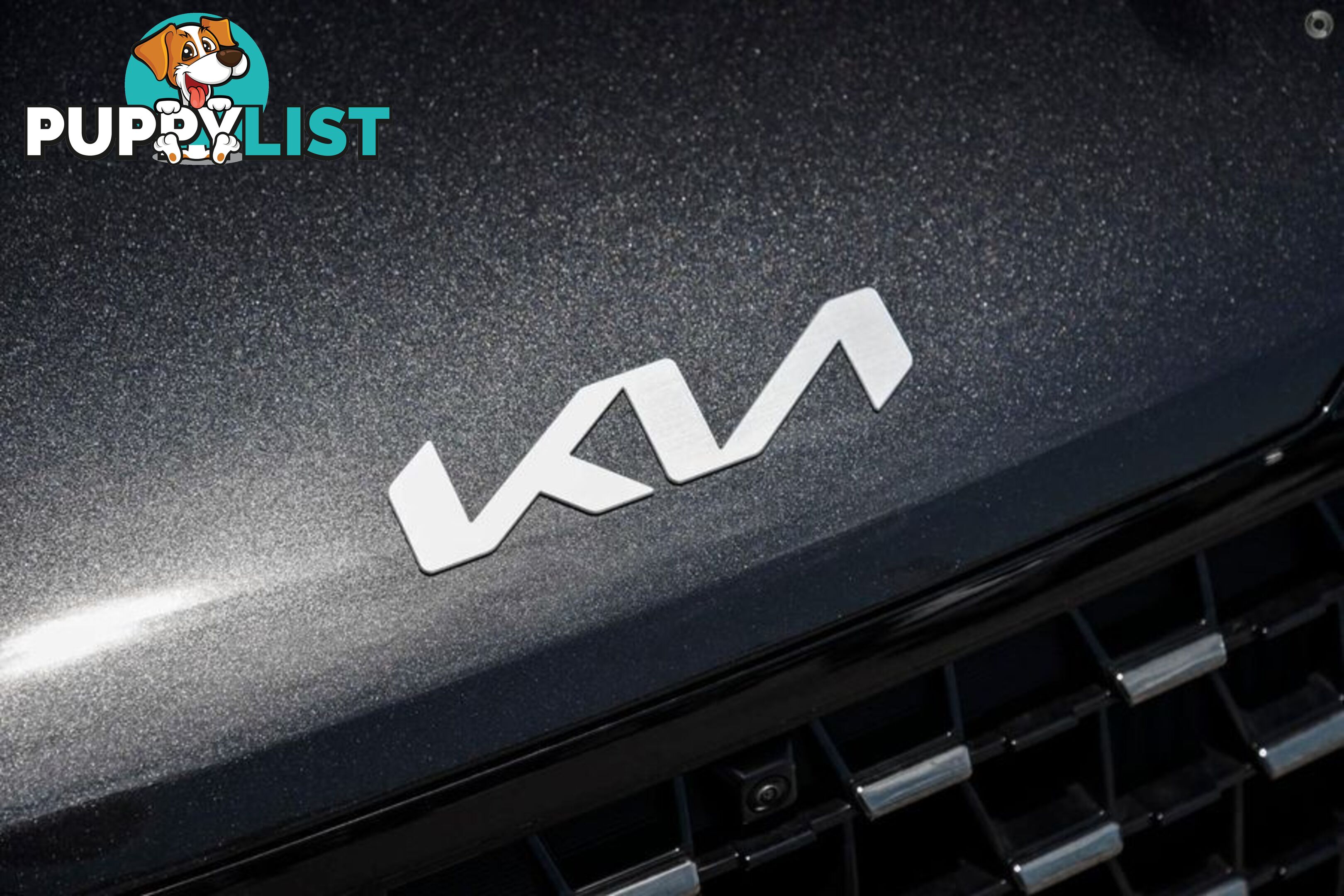 2025 Kia Carnival Sport+ KA4 PE People Mover