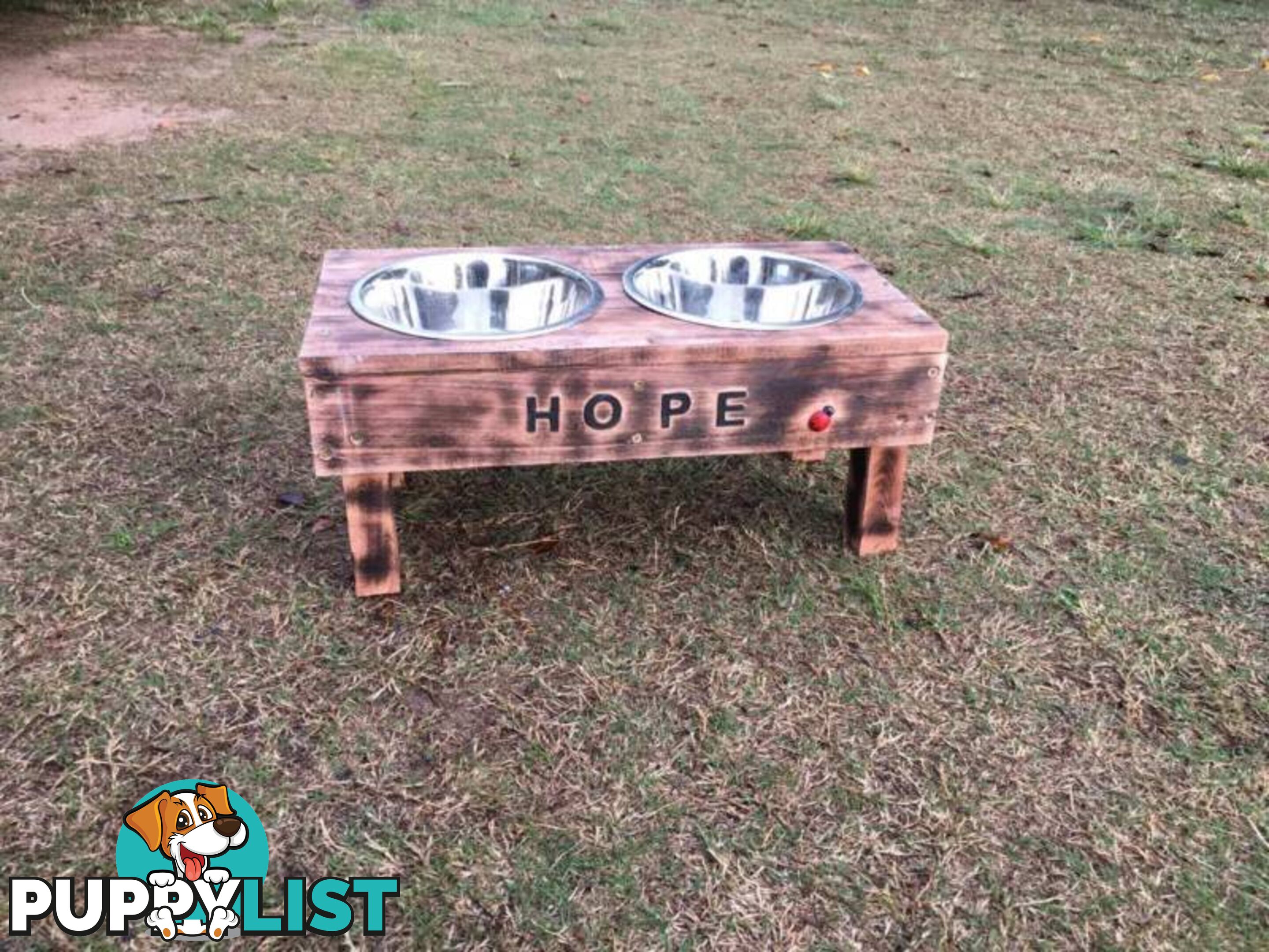 Dog Bowl $80