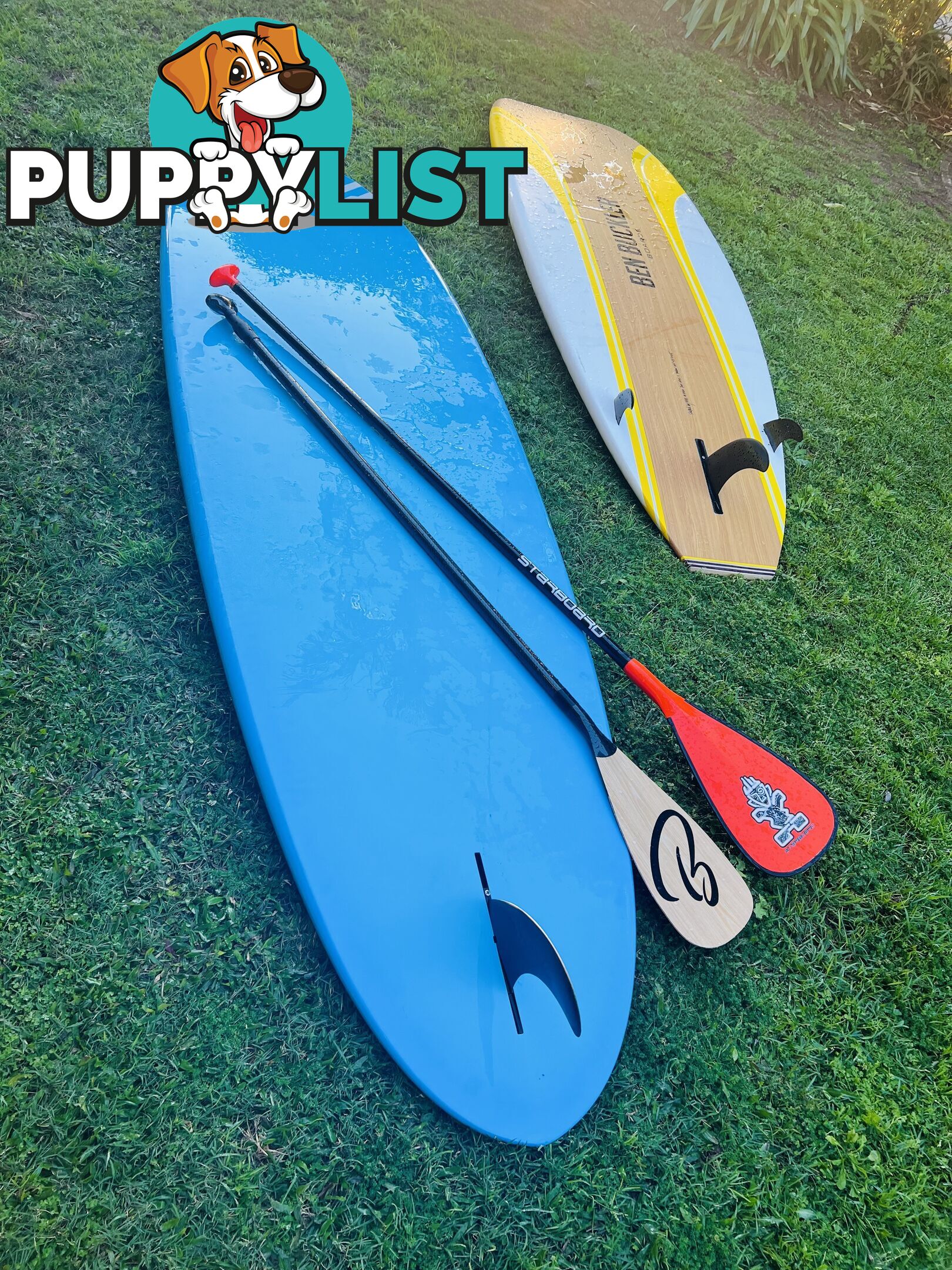 Stand up Paddle Board