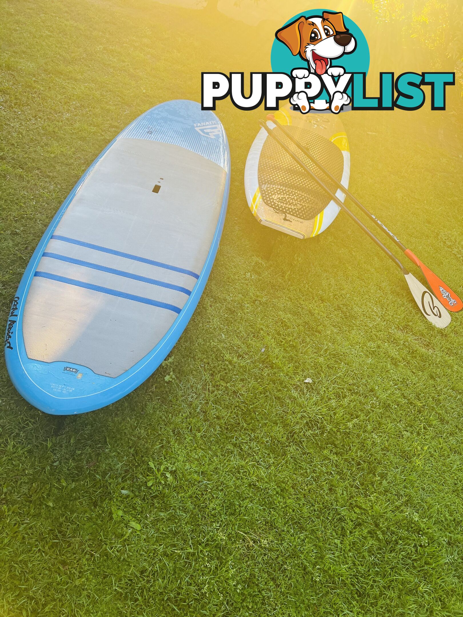 Stand up Paddle Board