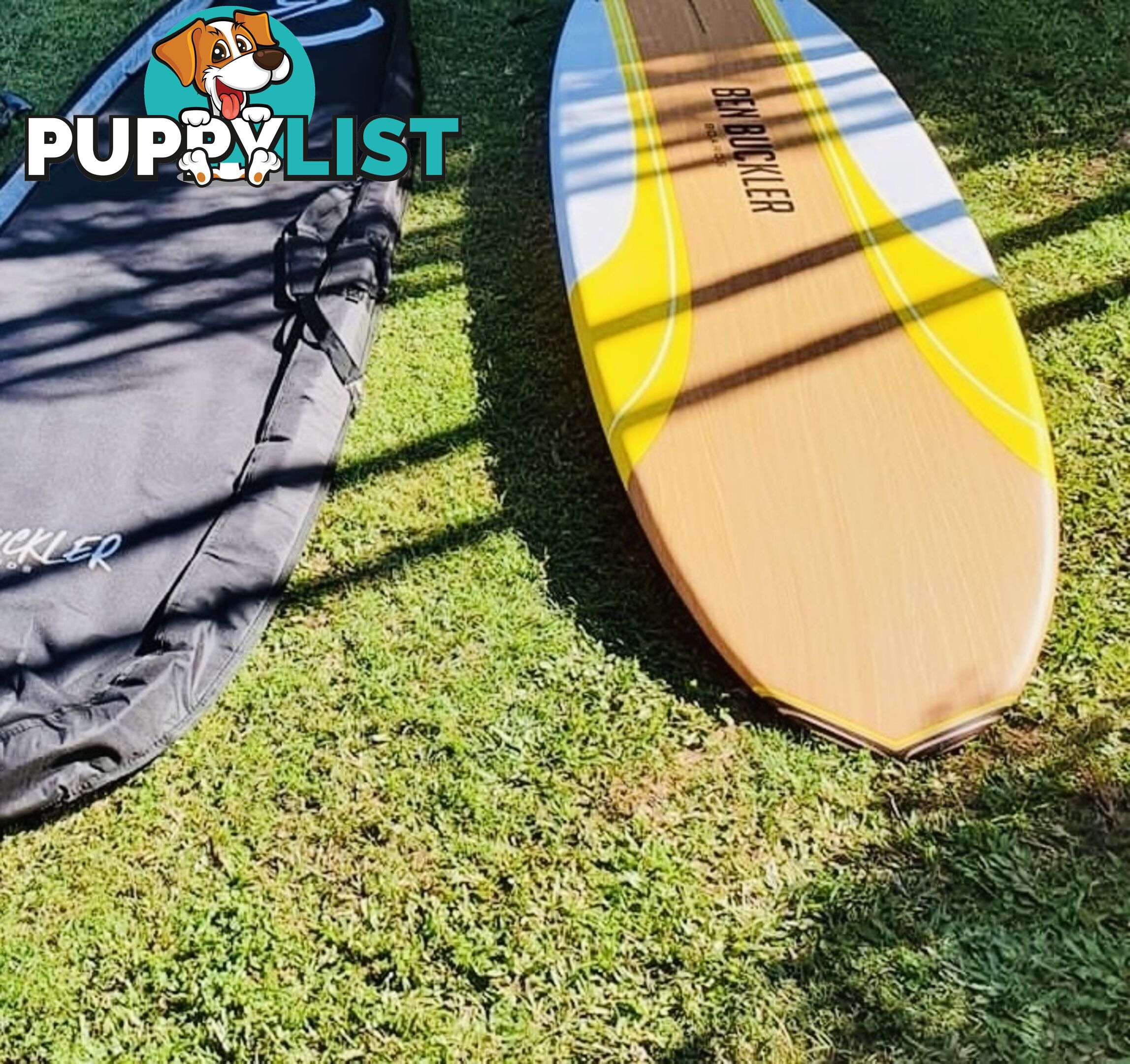 Stand up Paddle Board