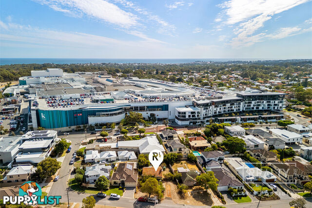 39 Paine Court Karrinyup WA 6018