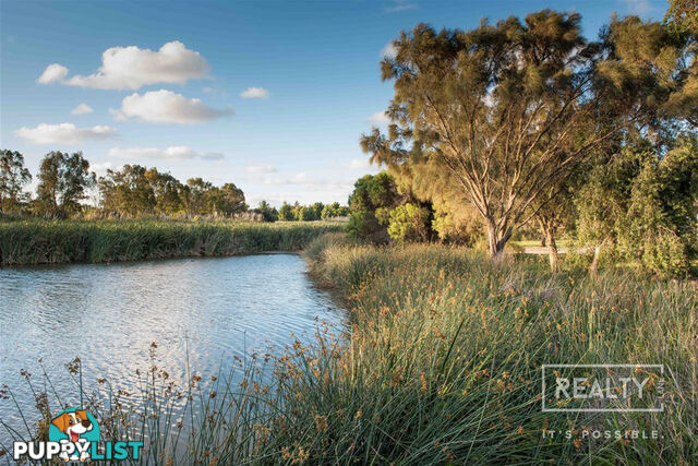 39 Paine Court Karrinyup WA 6018