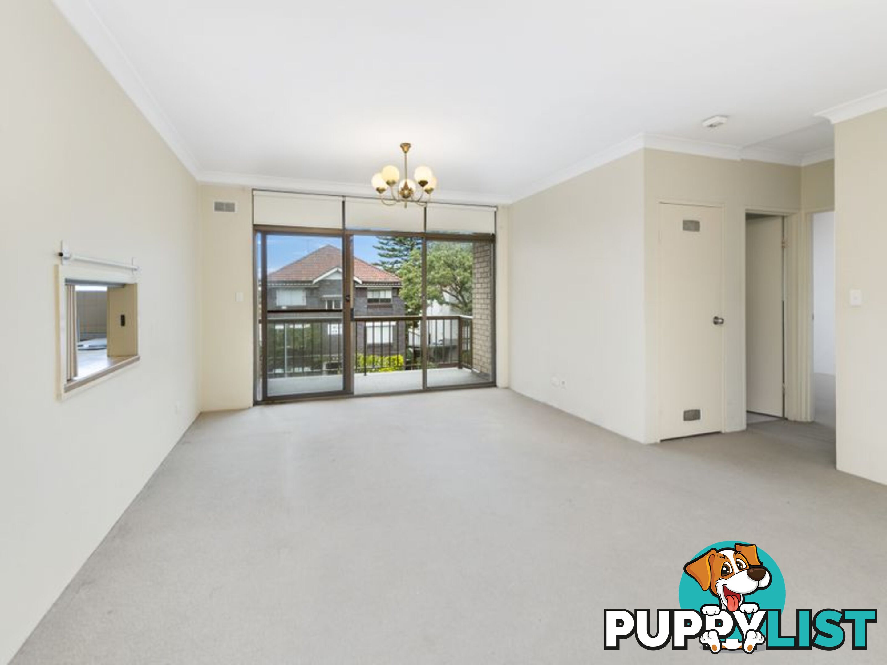 5/201-209 Old South Head Road BONDI JUNCTION NSW 2022