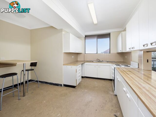 5/201-209 Old South Head Road BONDI JUNCTION NSW 2022