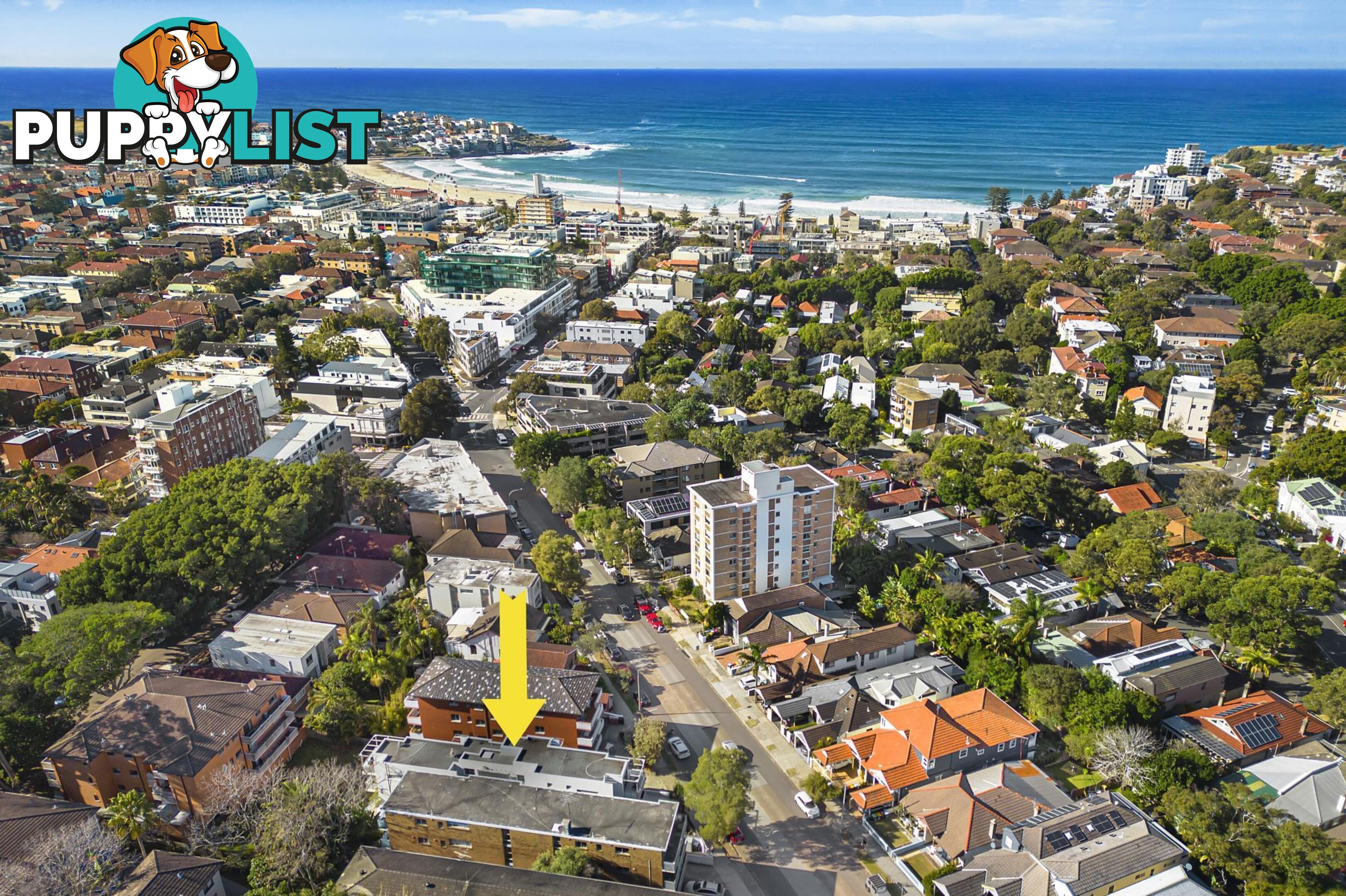 1/39 O'Brien Street BONDI BEACH NSW 2026