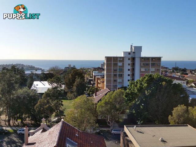 910/212 Bondi Road BONDI NSW 2026