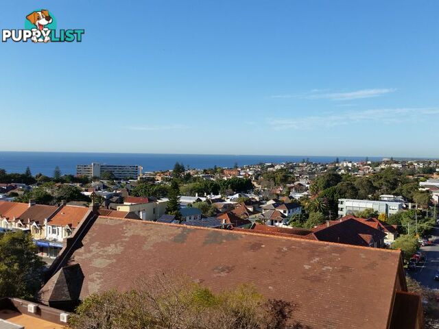 910/212 Bondi Road BONDI NSW 2026