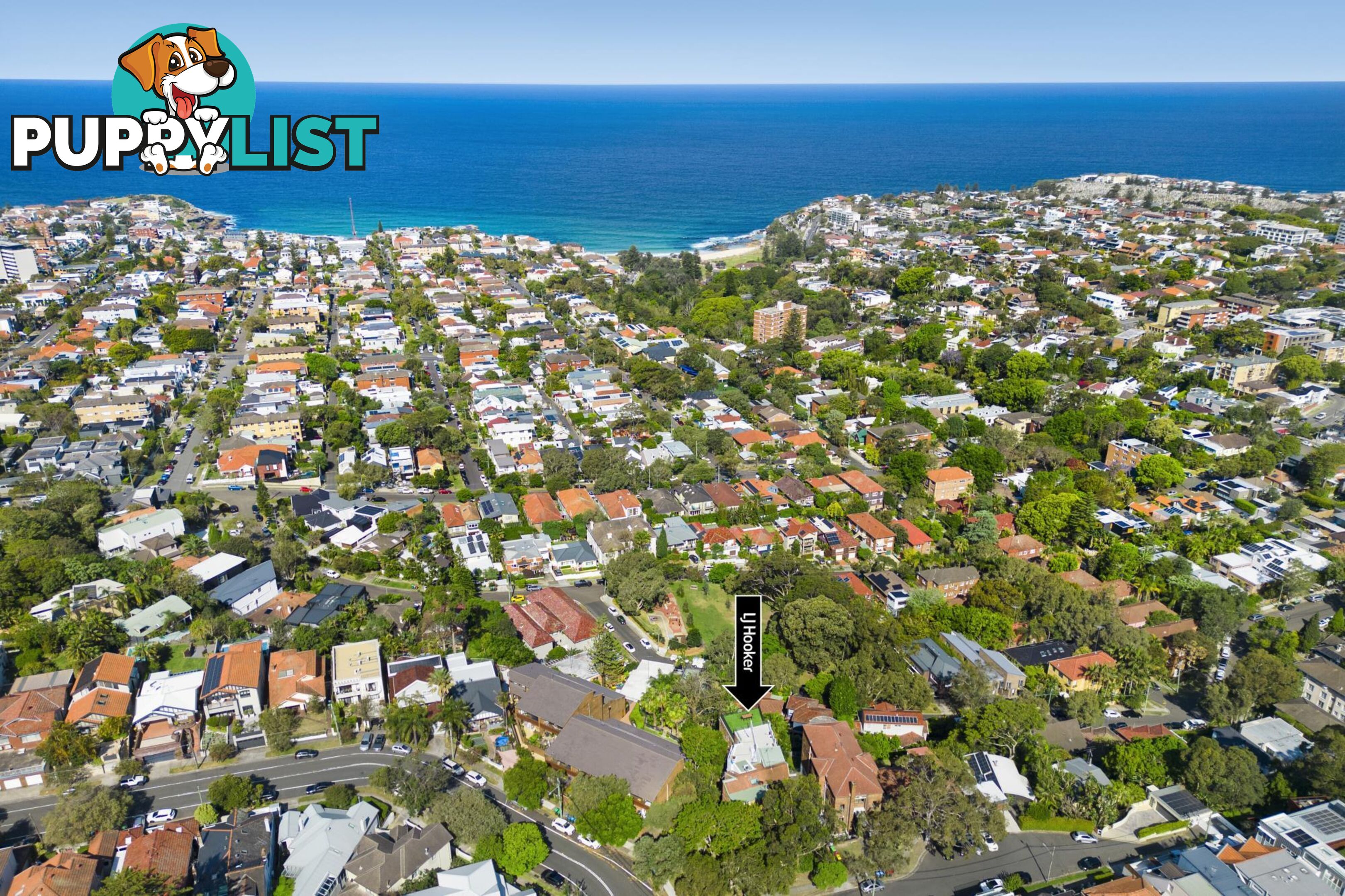 7/2 Seaview Street WAVERLEY NSW 2024