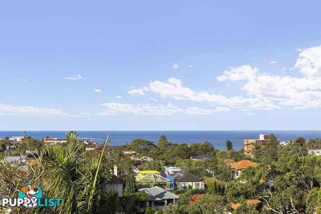 7/2 Seaview Street WAVERLEY NSW 2024
