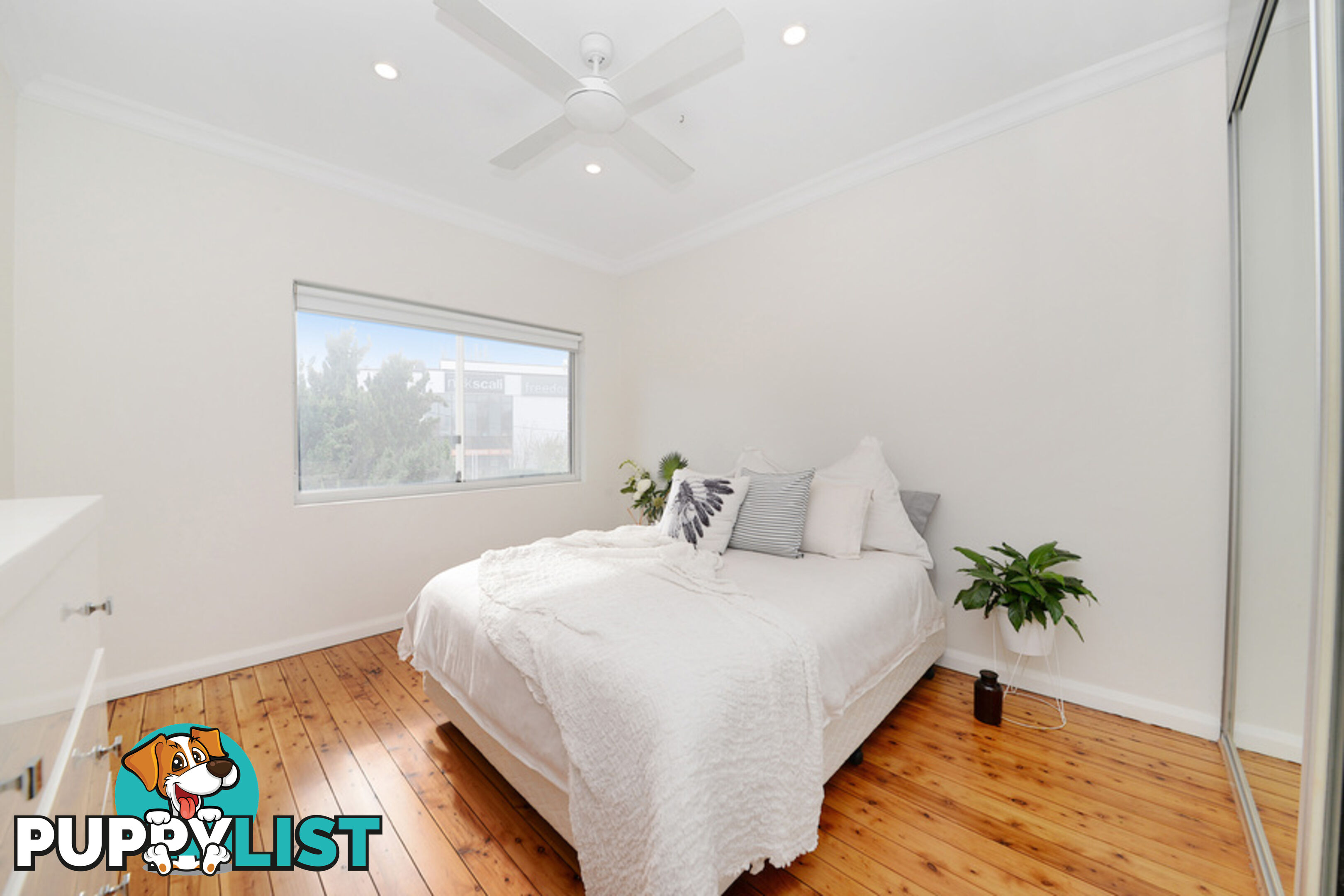 4/1 Todman Avenue KENSINGTON NSW 2033