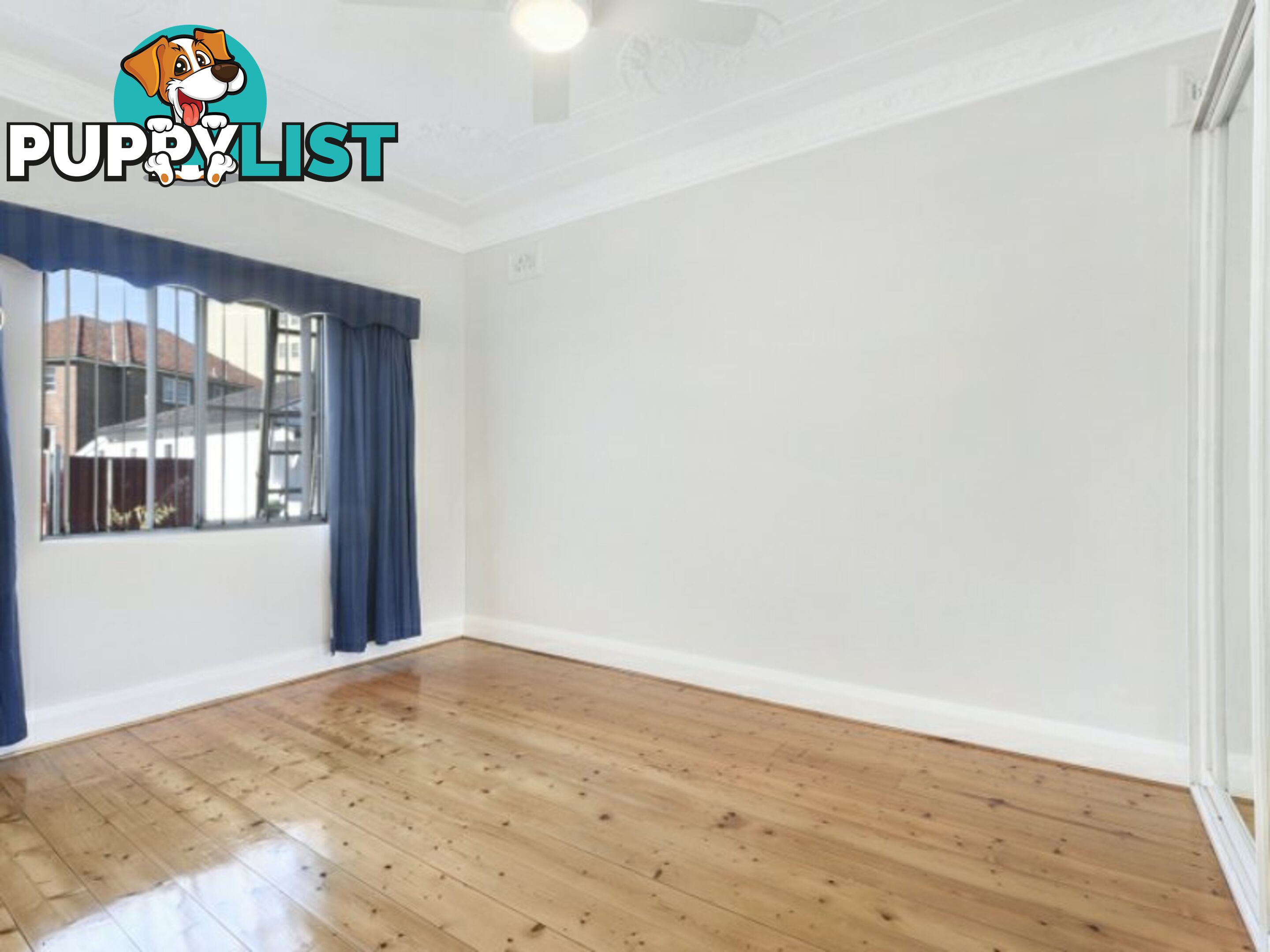 1A Blenheim Street BONDI JUNCTION NSW 2022