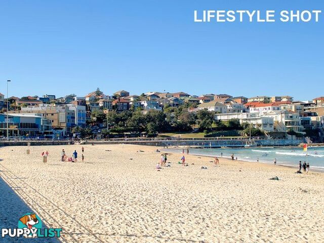 157 Hall Street BONDI BEACH NSW 2026