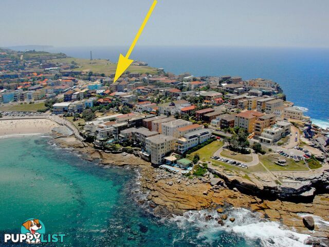 4/104 Brighton Boulevard NORTH BONDI NSW 2026