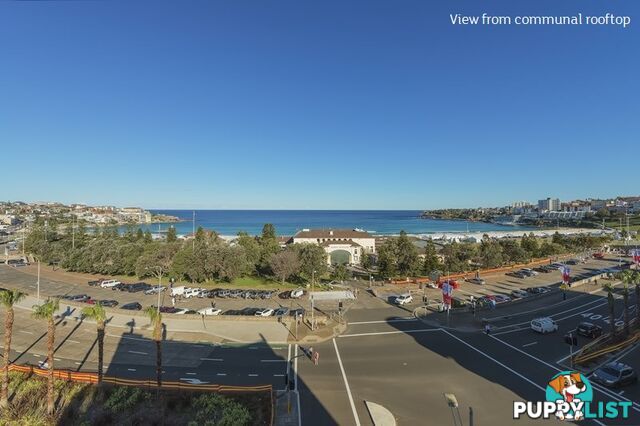 41/1 Beach Road BONDI BEACH NSW 2026