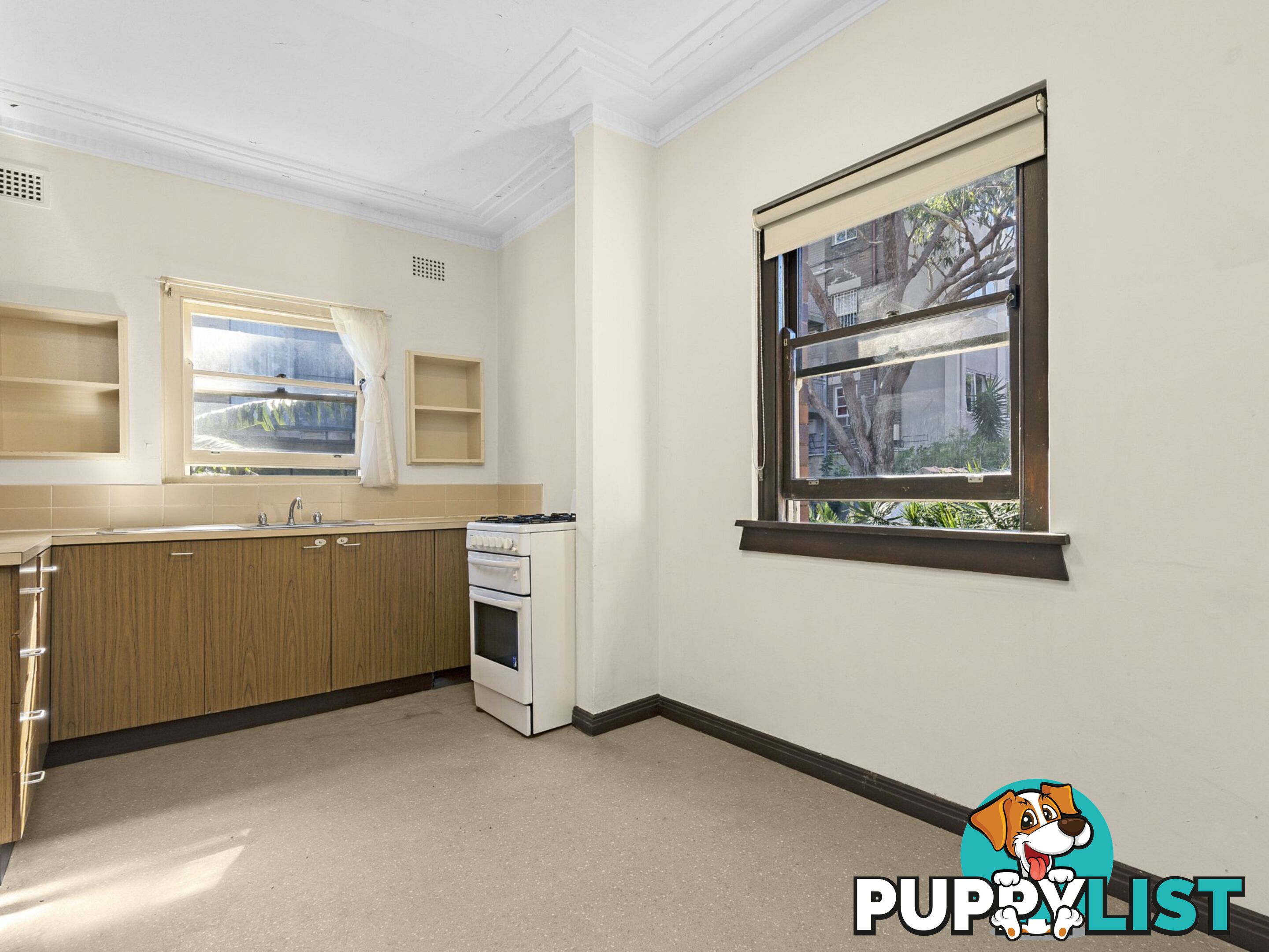 1/2 Wills Avenue BRONTE NSW 2024