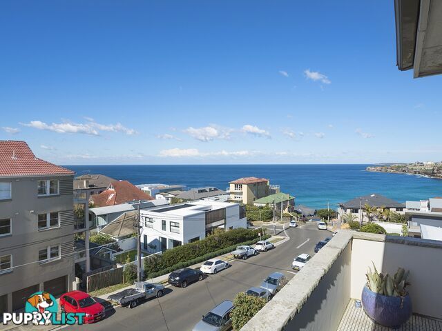 5/3 Alexander Street TAMARAMA NSW 2026