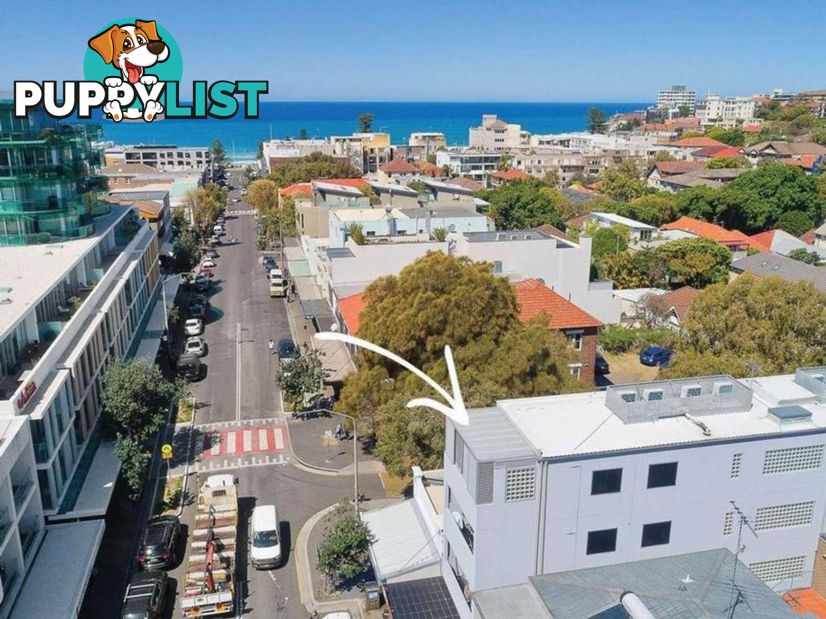 7/62 Hall Street BONDI BEACH NSW 2026