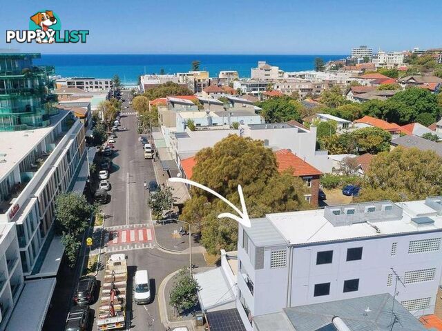 7/62 Hall Street BONDI BEACH NSW 2026