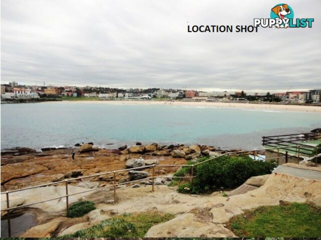 72A Lamrock Avenue BONDI BEACH NSW 2026