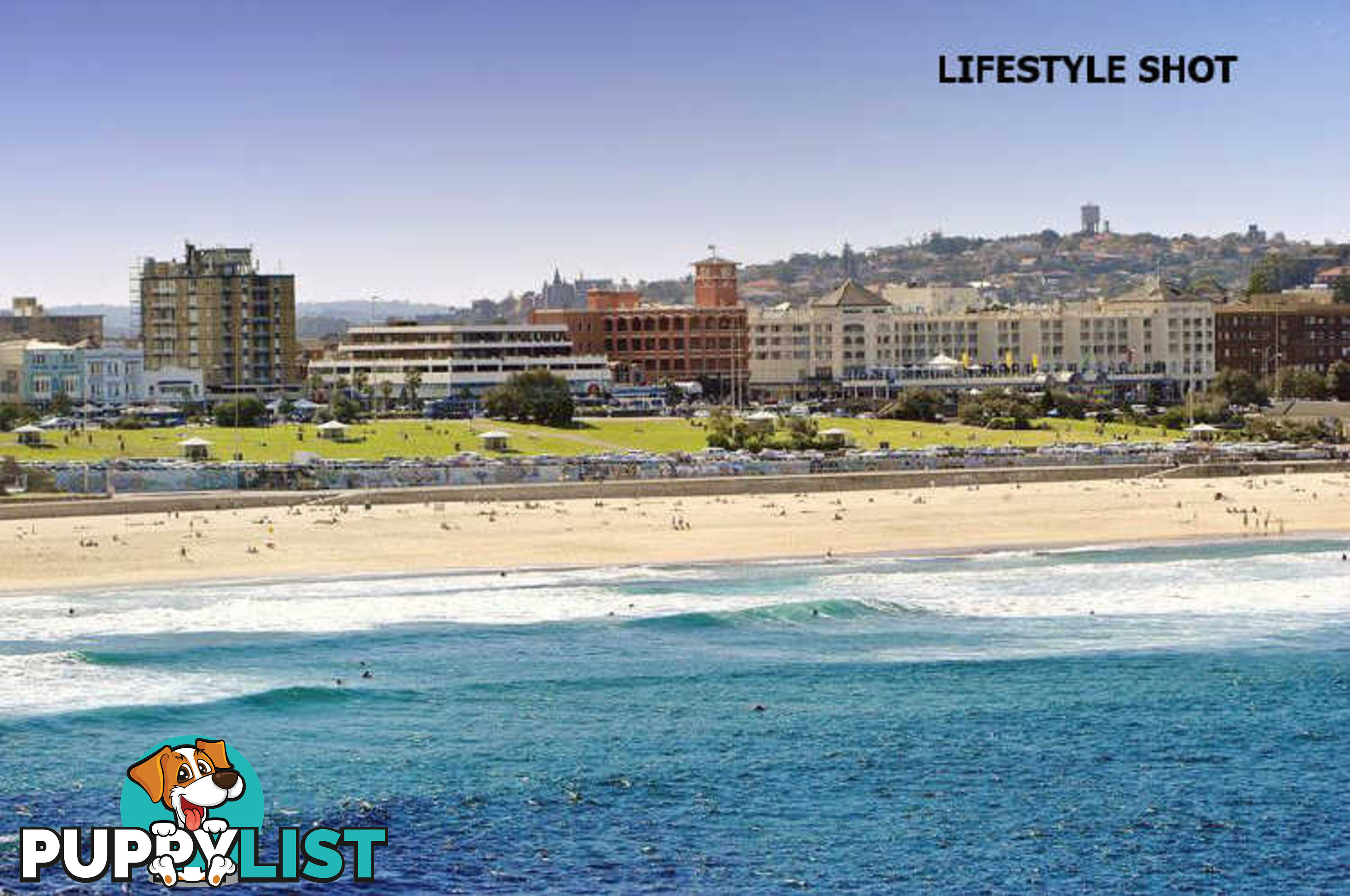 1/7 Beach Road BONDI BEACH NSW 2026