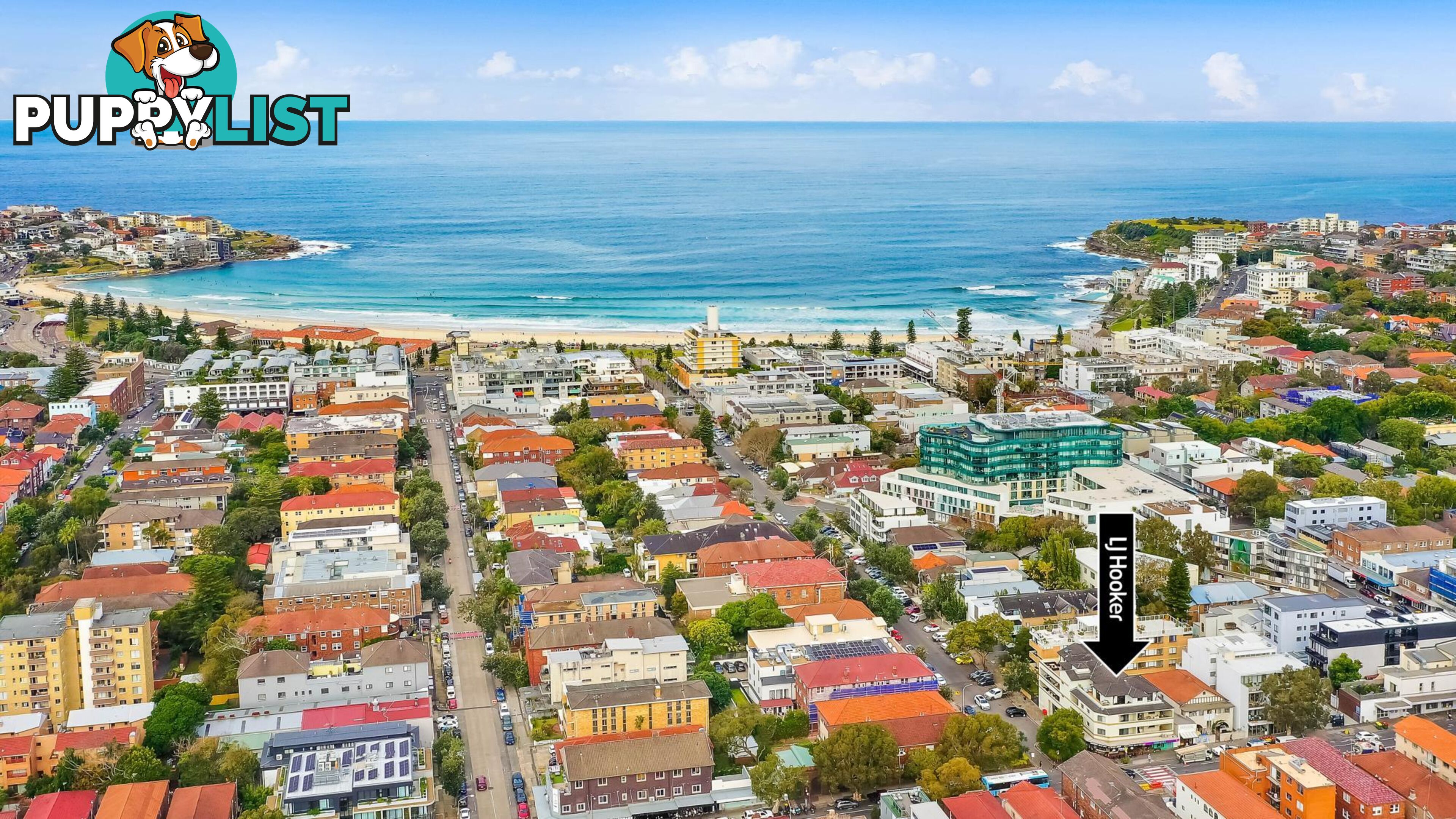 5/144-148 Glenayr Avenue BONDI BEACH NSW 2026