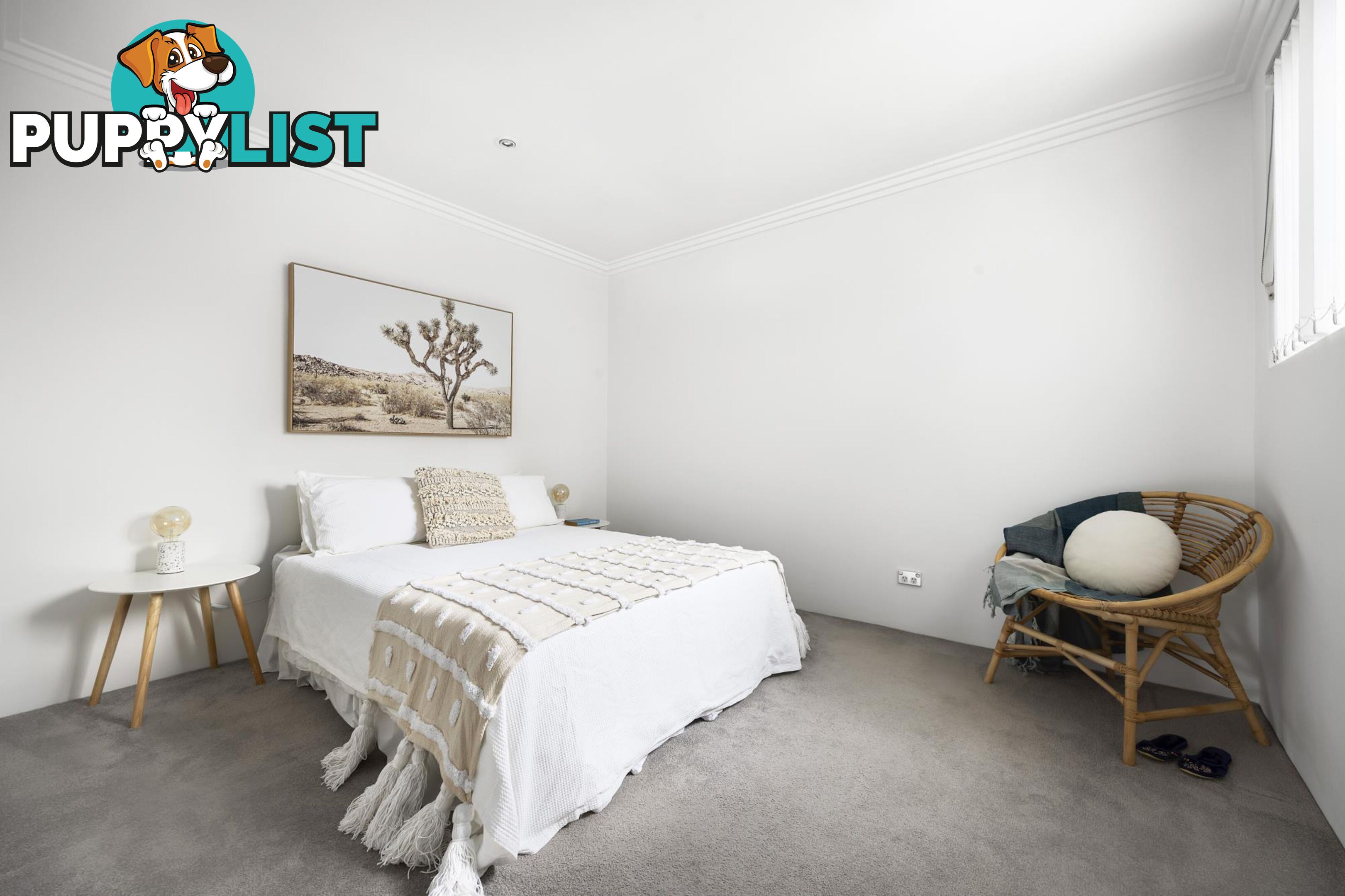 5/144-148 Glenayr Avenue BONDI BEACH NSW 2026