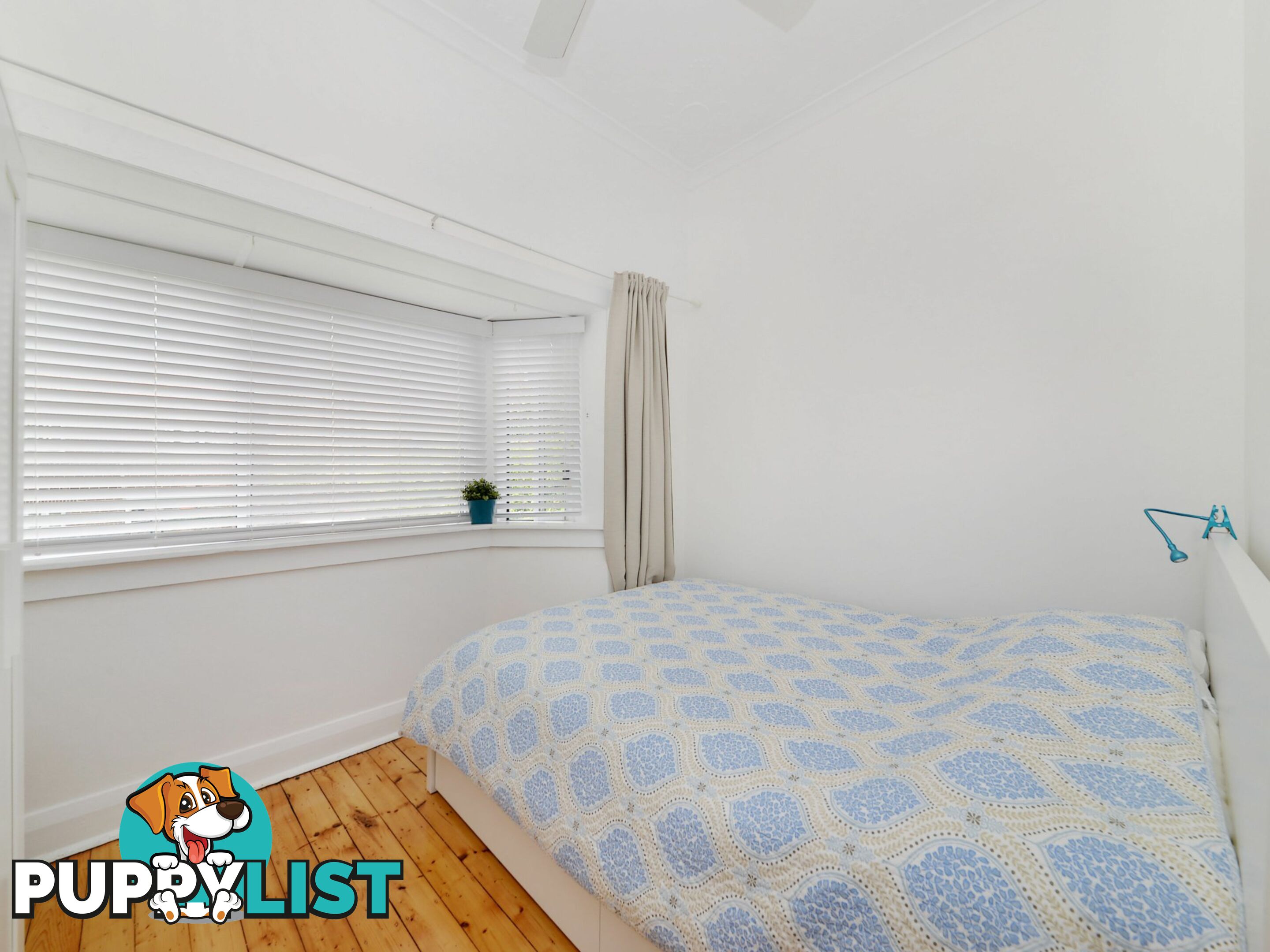 5/50 Roscoe Street BONDI BEACH NSW 2026