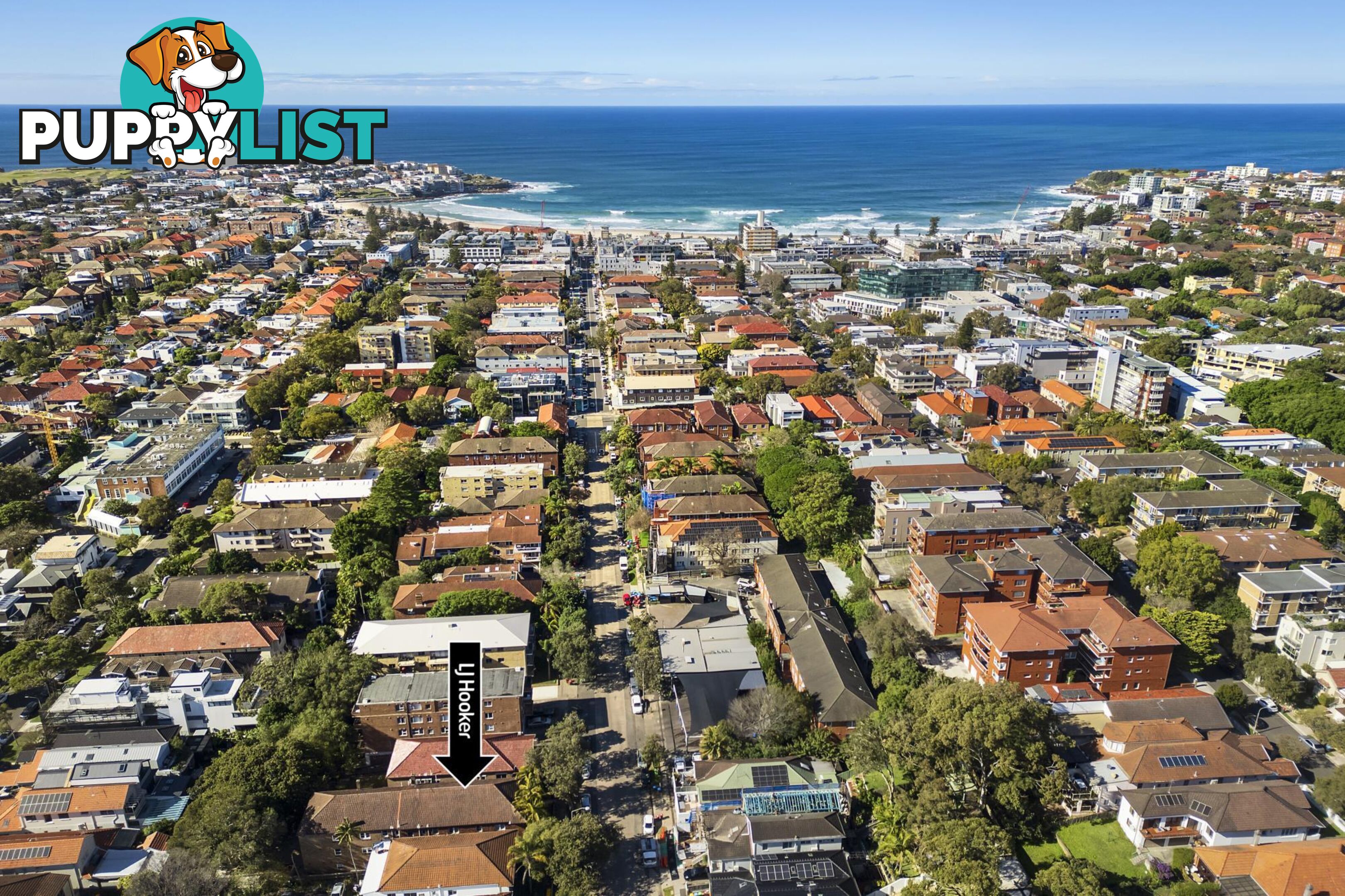 8/40 Curlewis Street BONDI BEACH NSW 2026