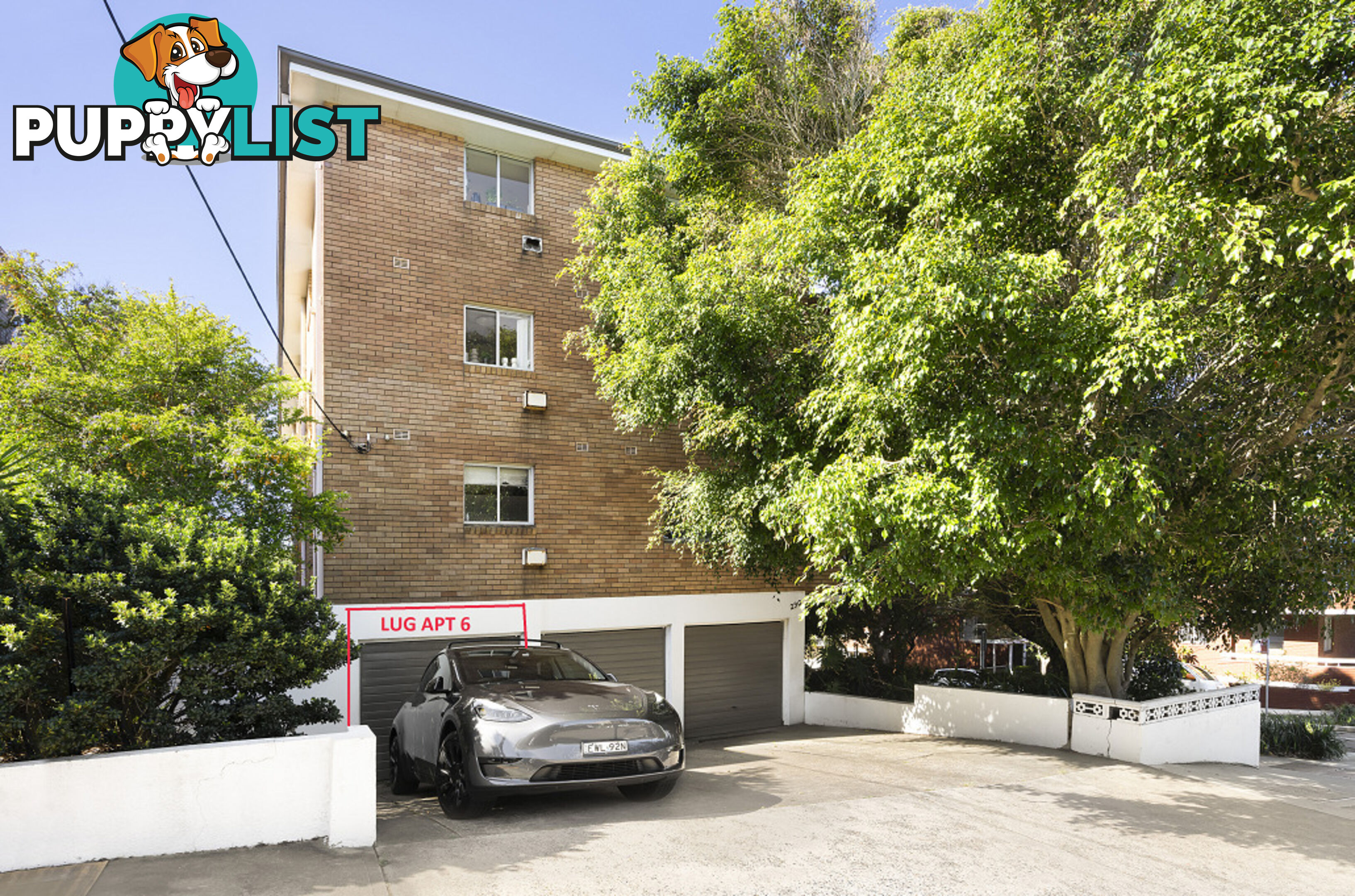 6/290 Birrell Street BONDI NSW 2026