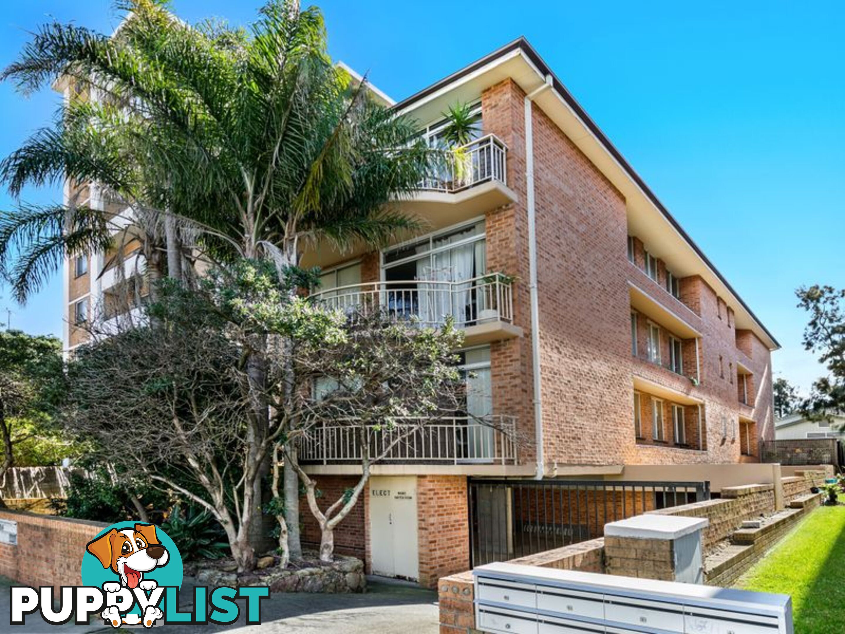 1/244 Bondi Road BONDI NSW 2026