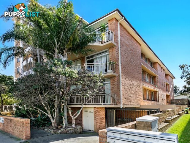 1/244 Bondi Road BONDI NSW 2026