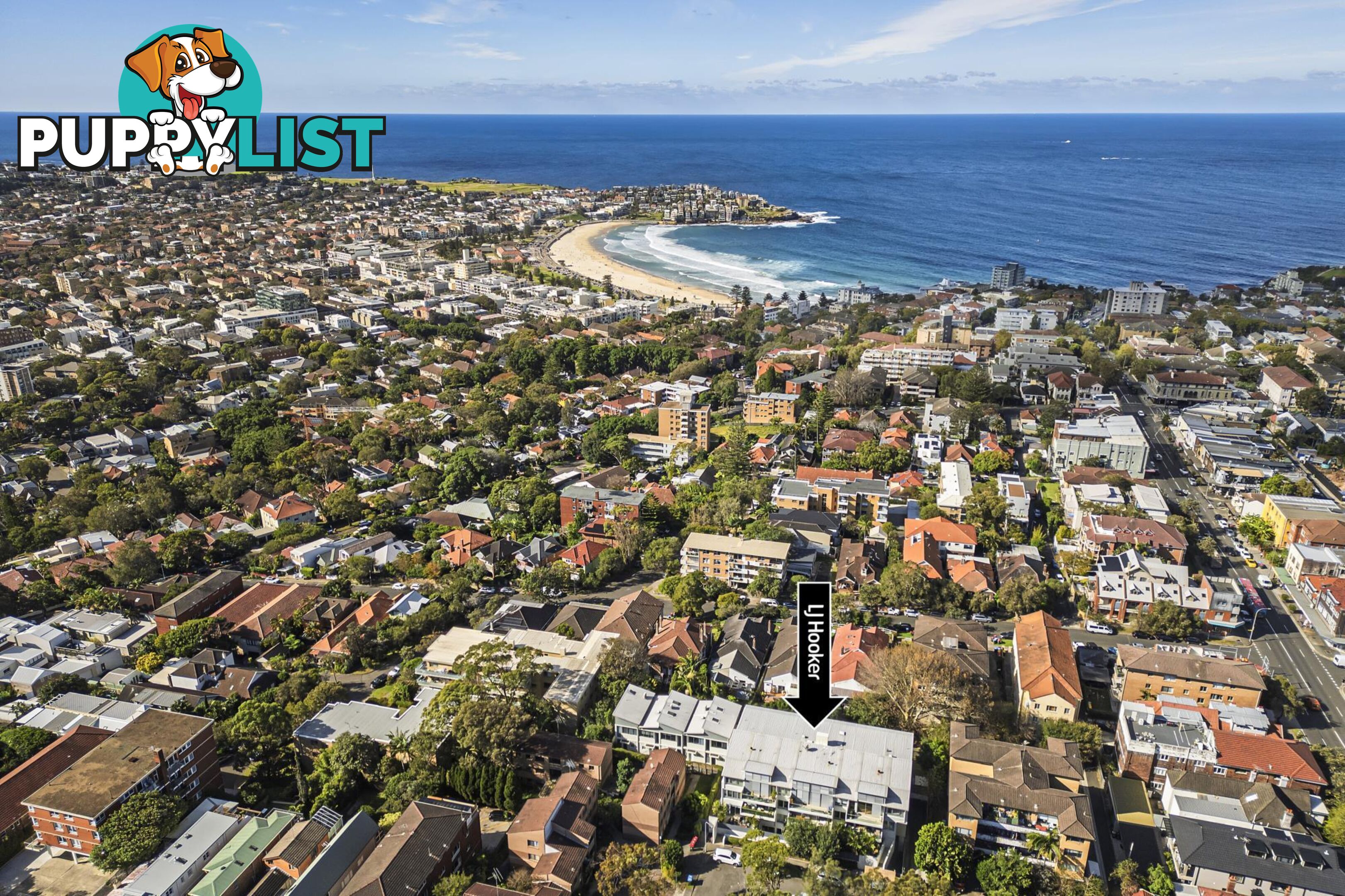 8/7-11 Henderson Street BONDI NSW 2026