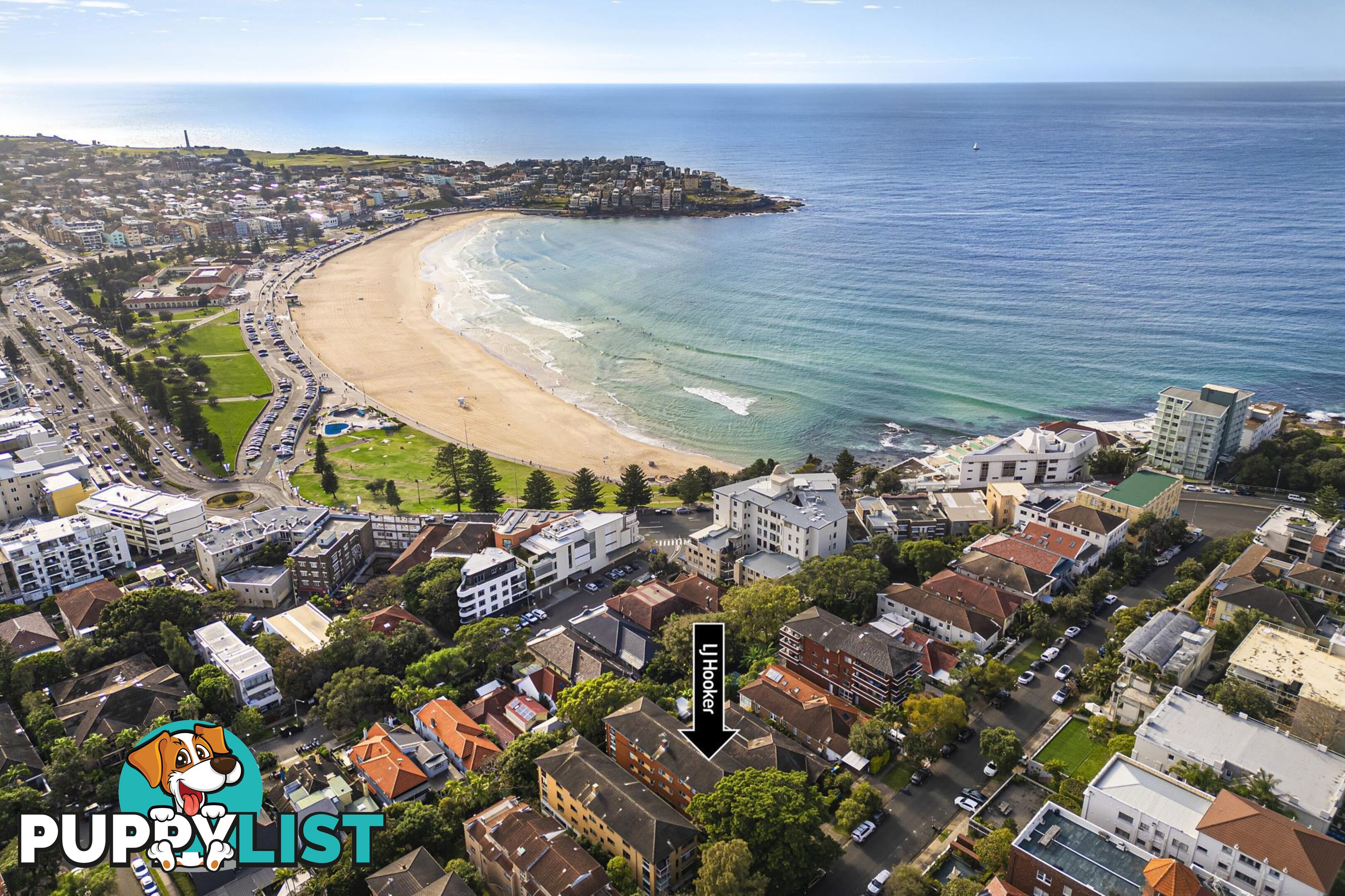 1/33 Francis Street BONDI BEACH NSW 2026